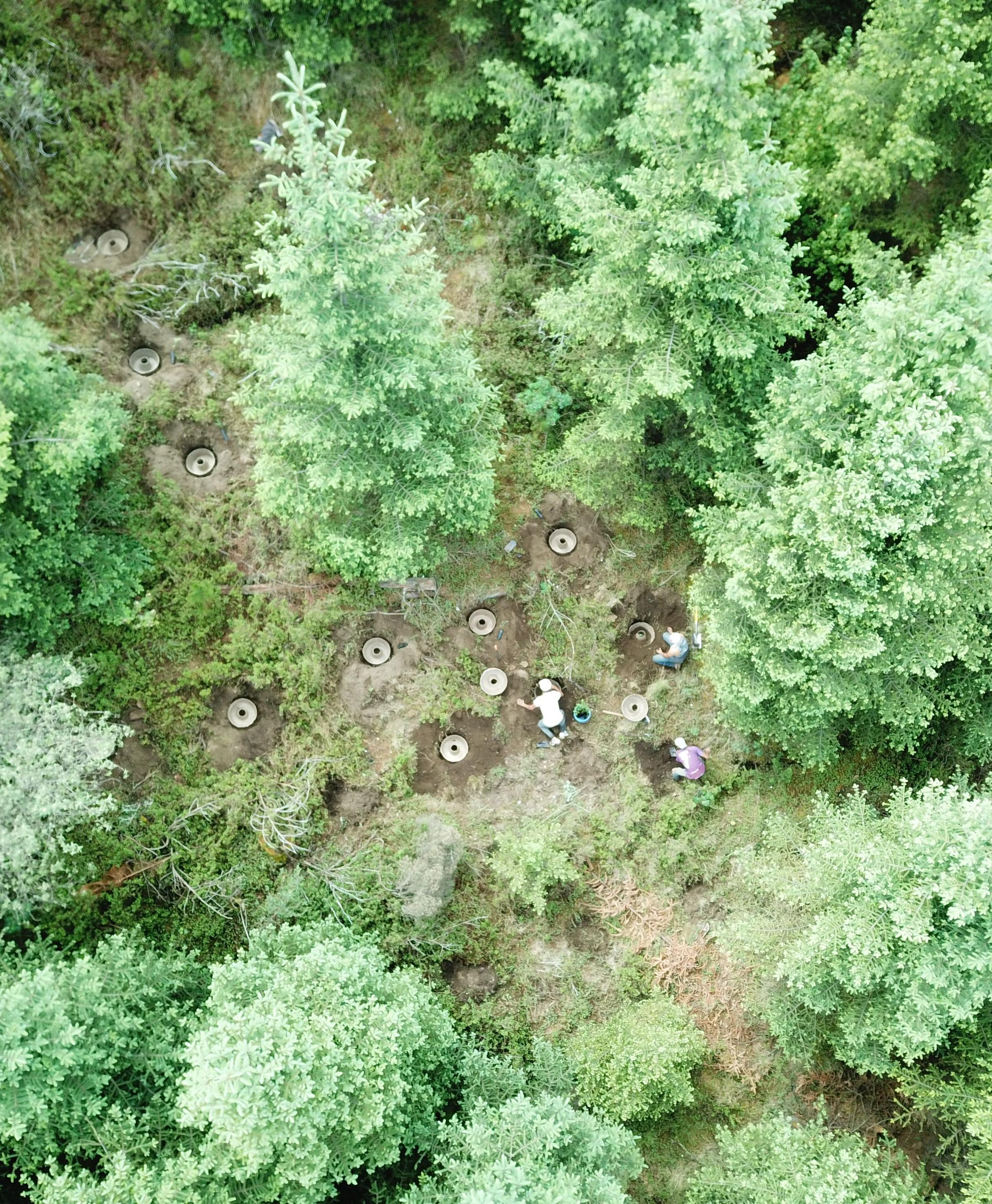 Ariel view of forest with workers planting trees
