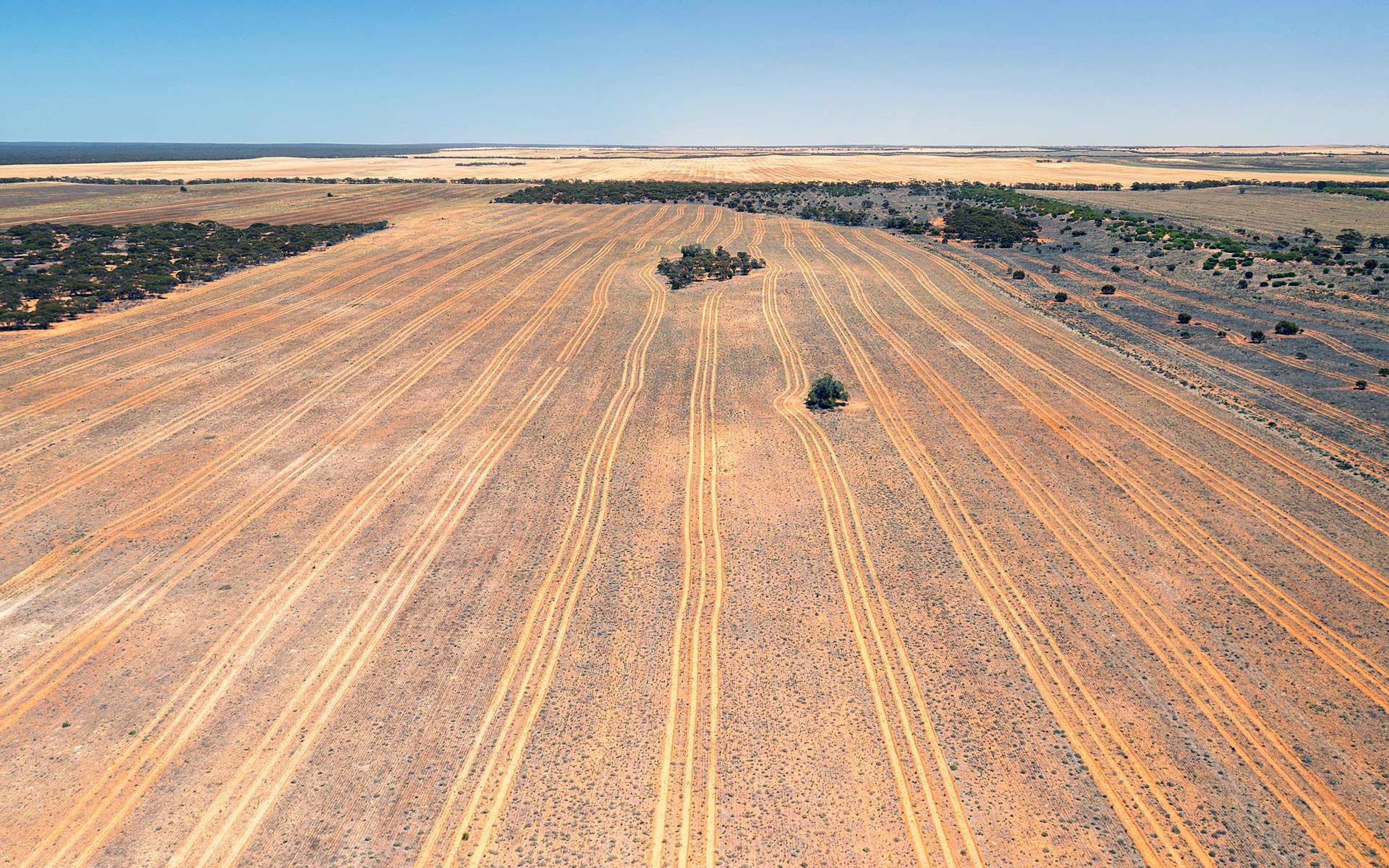 Land in Merrinee prepared for restoration