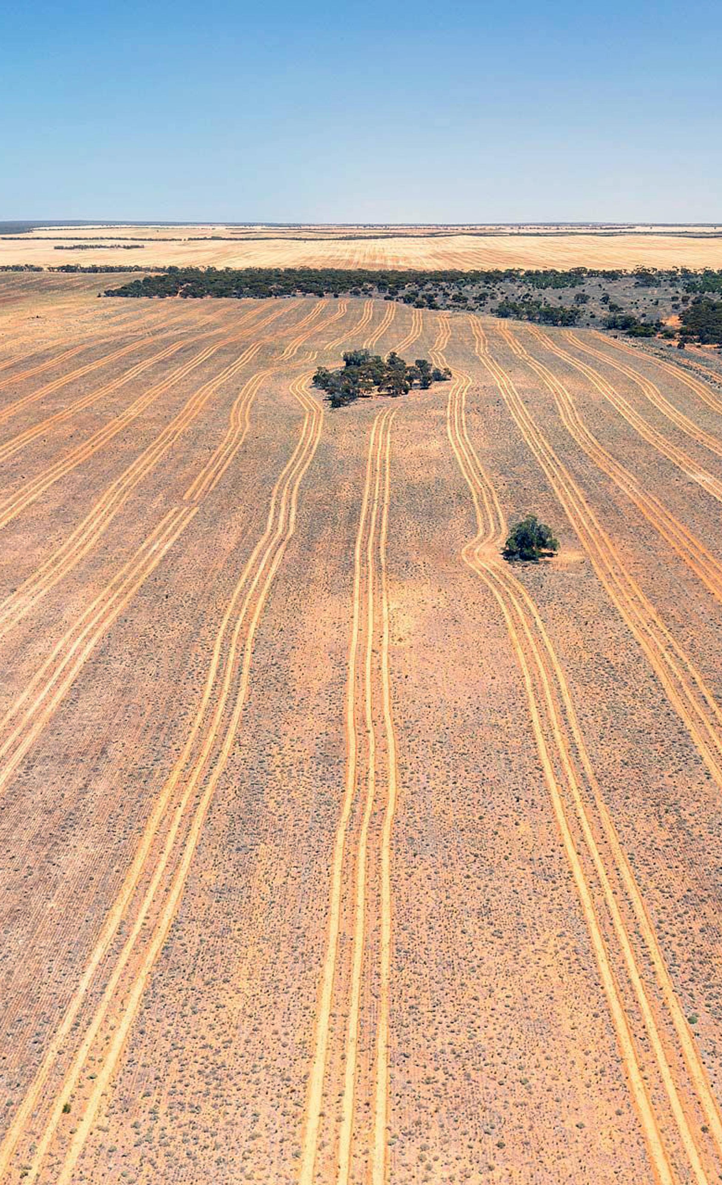 Land in Merrinee prepared for restoration