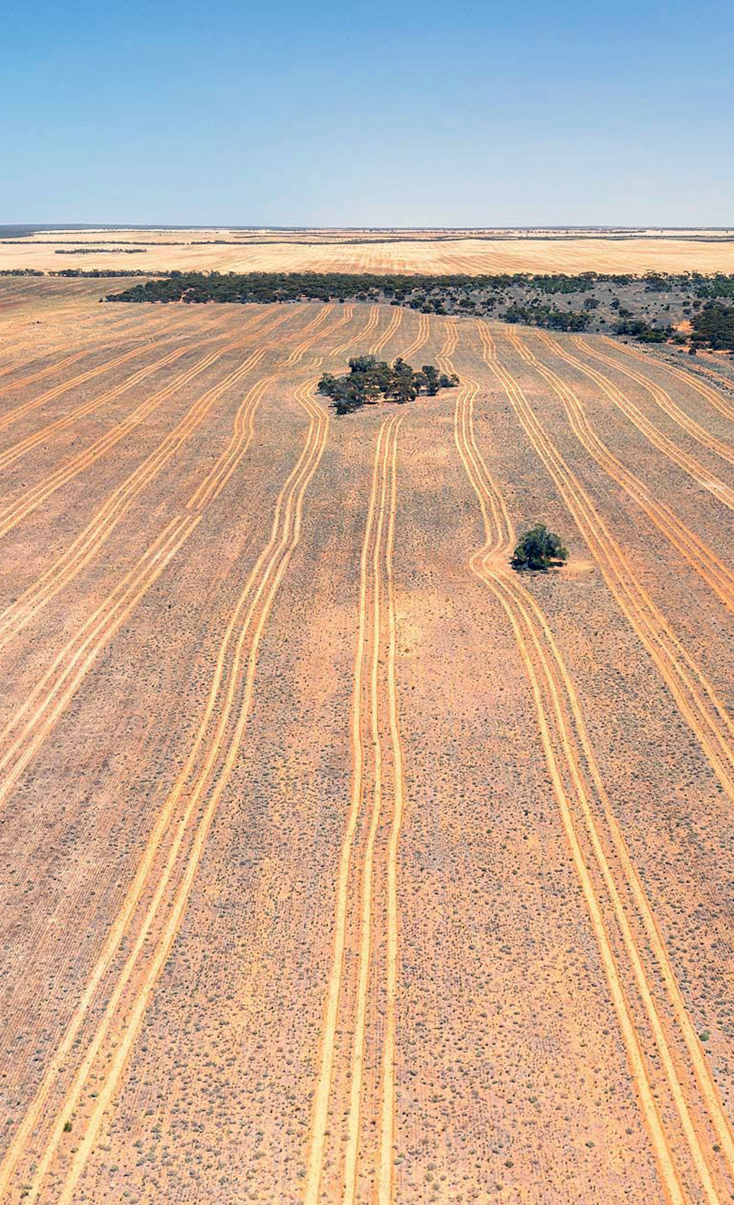 Land in Merrinee prepared for restoration