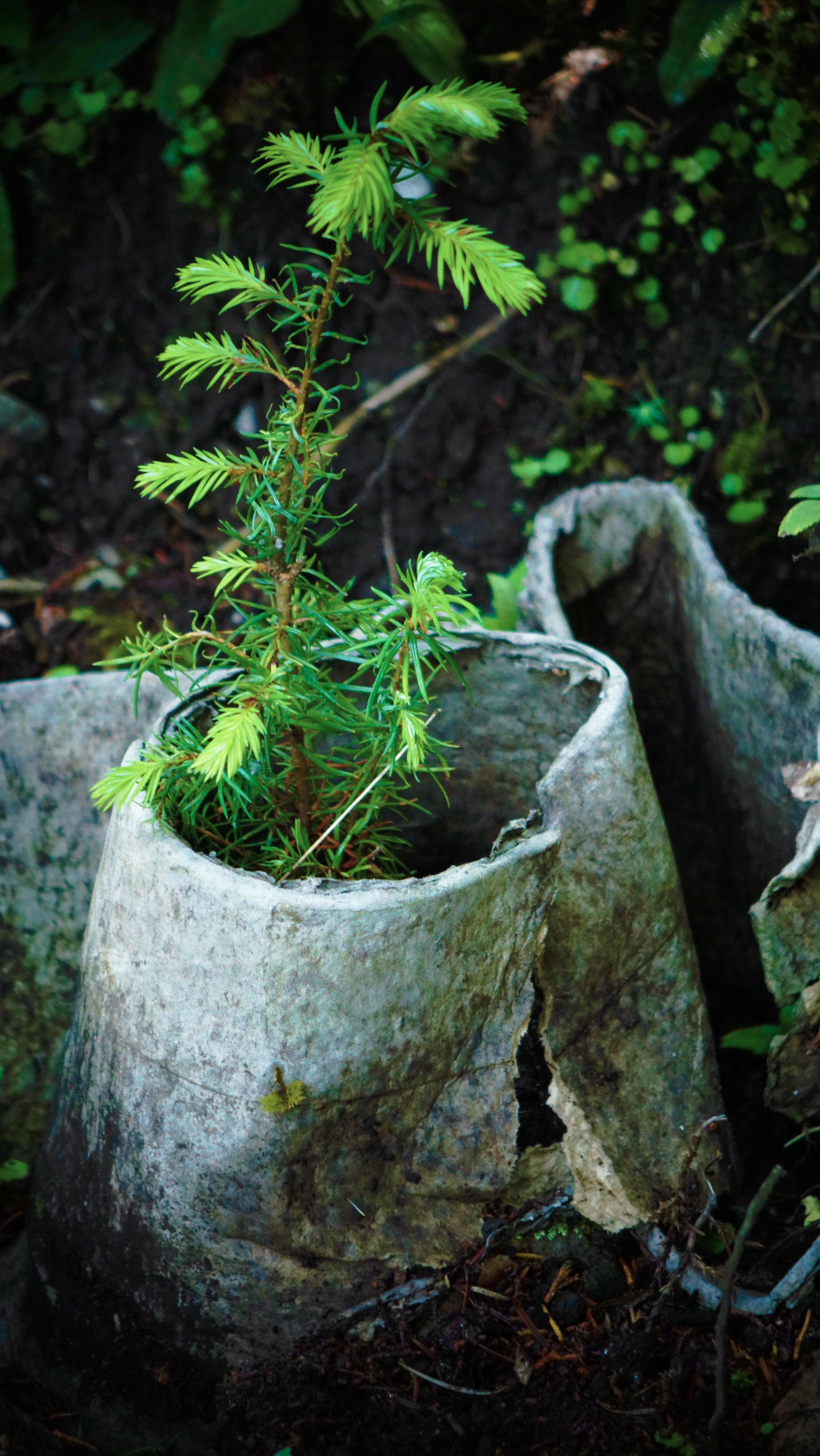 Degraded Land in Australia Understanding the Impact and Solutions