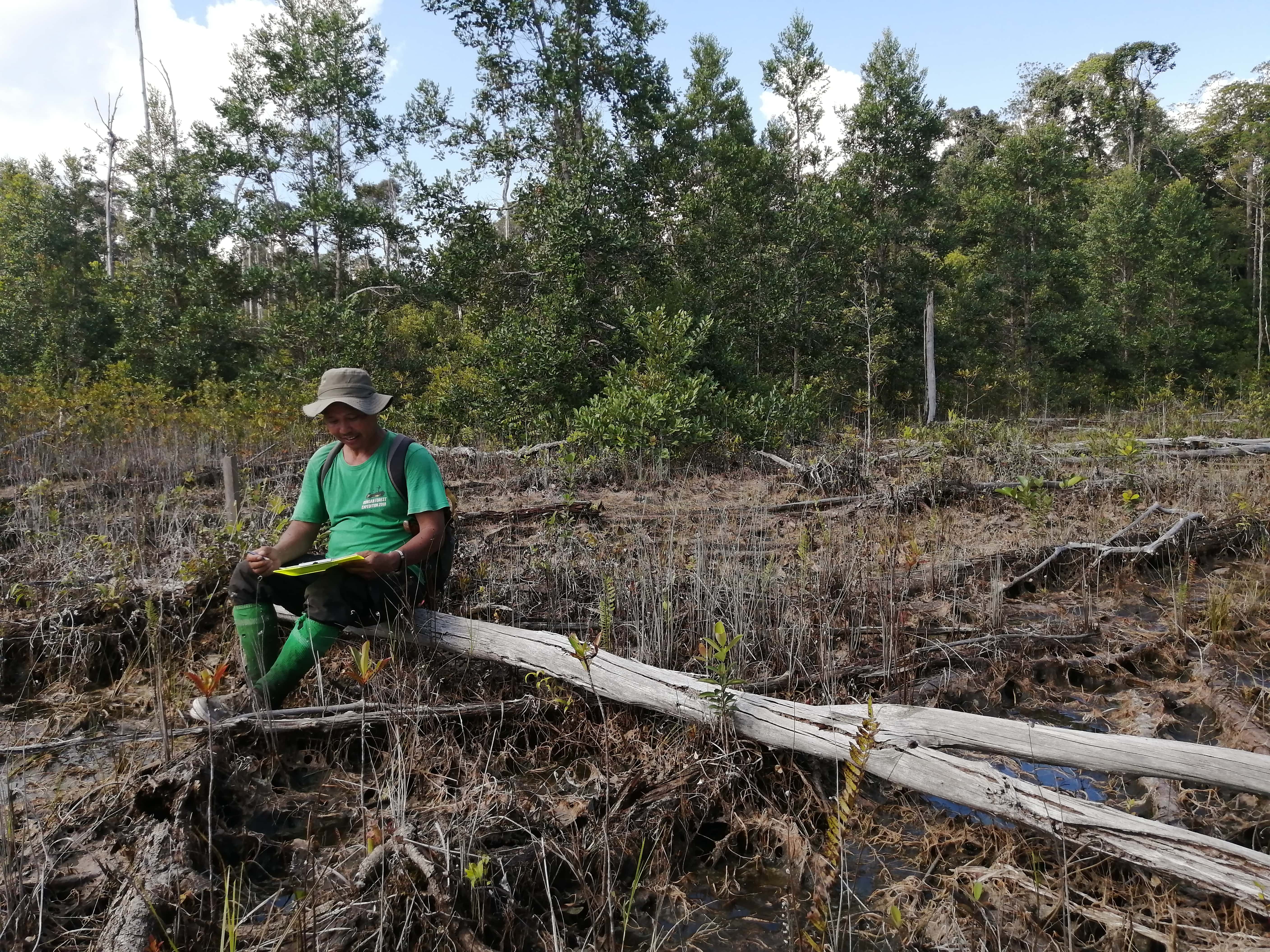 Man doing forest research in Borneo