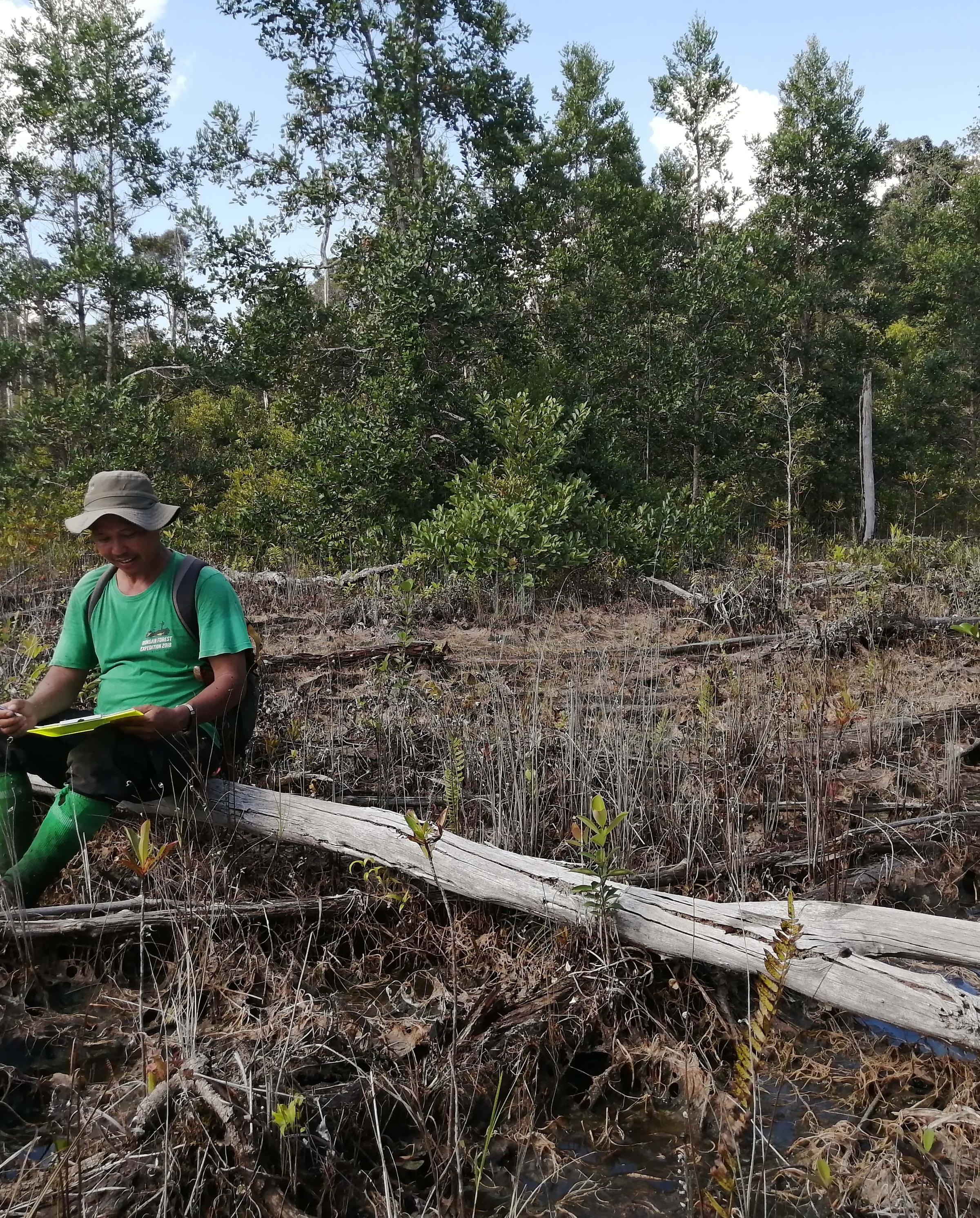 Borneo Orangutan Project | Nature Restoration | Land Life