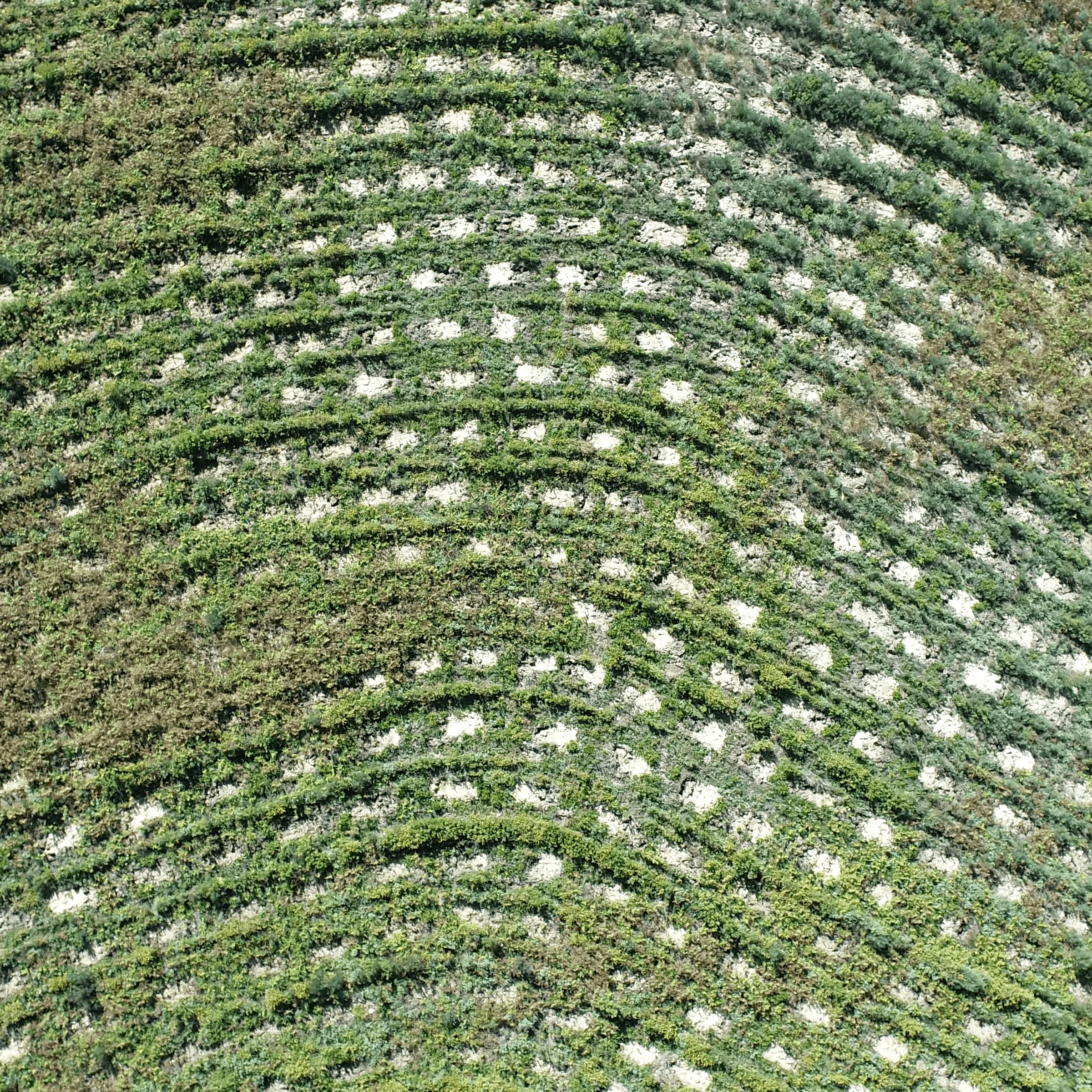 ariel view of restoration project
