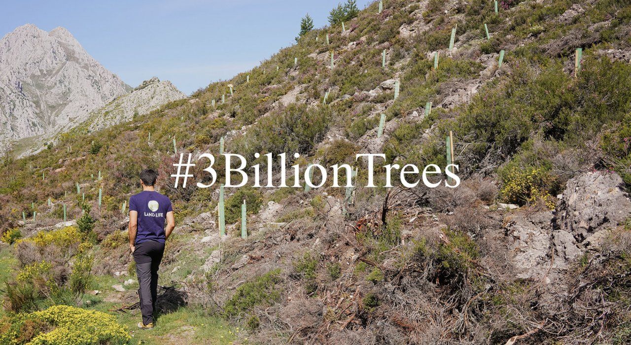Land Life joins the EU 3 Billion Trees Pledge