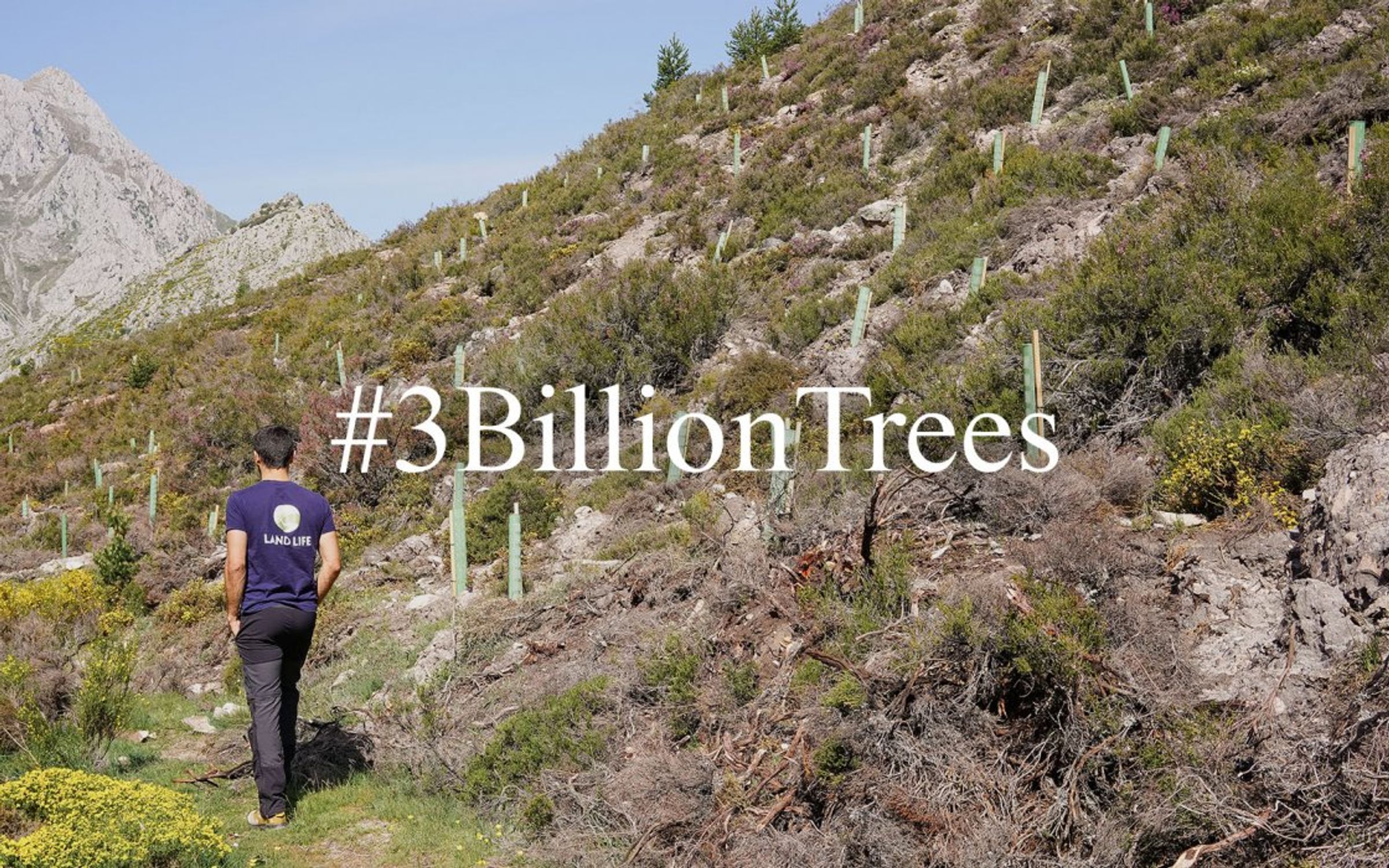 Land Life joins the EU 3 Billion Trees Pledge