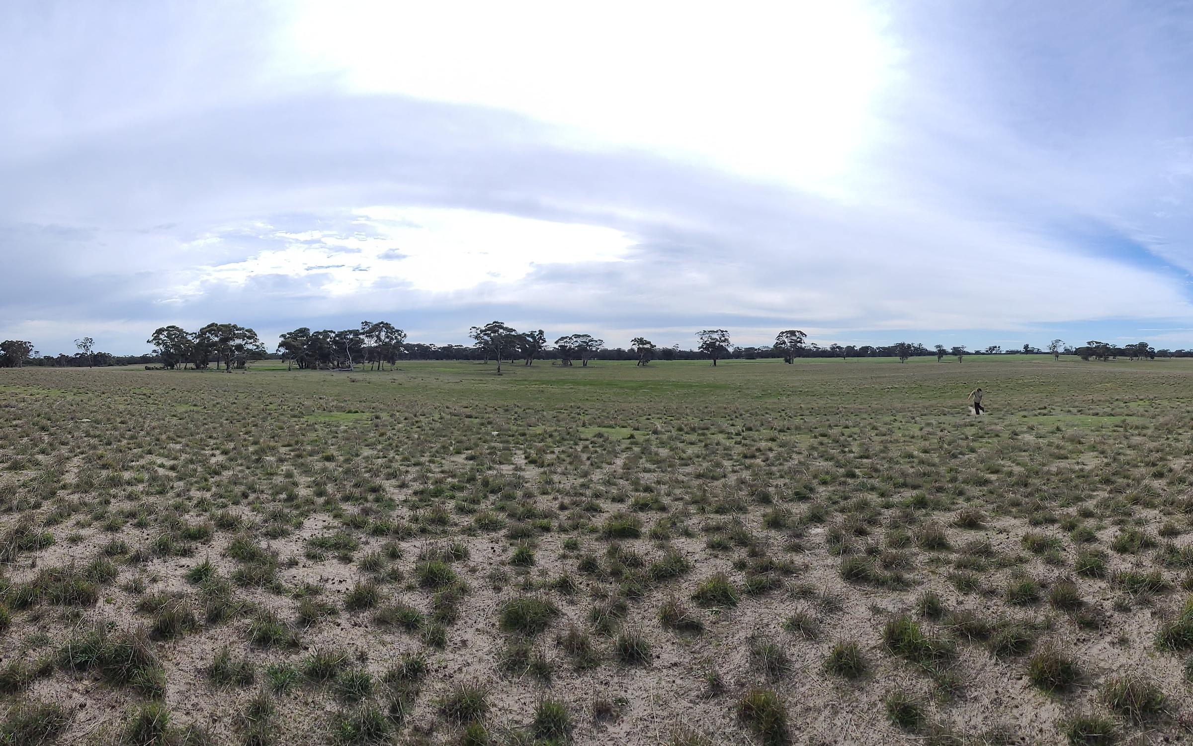 Degraded landscape