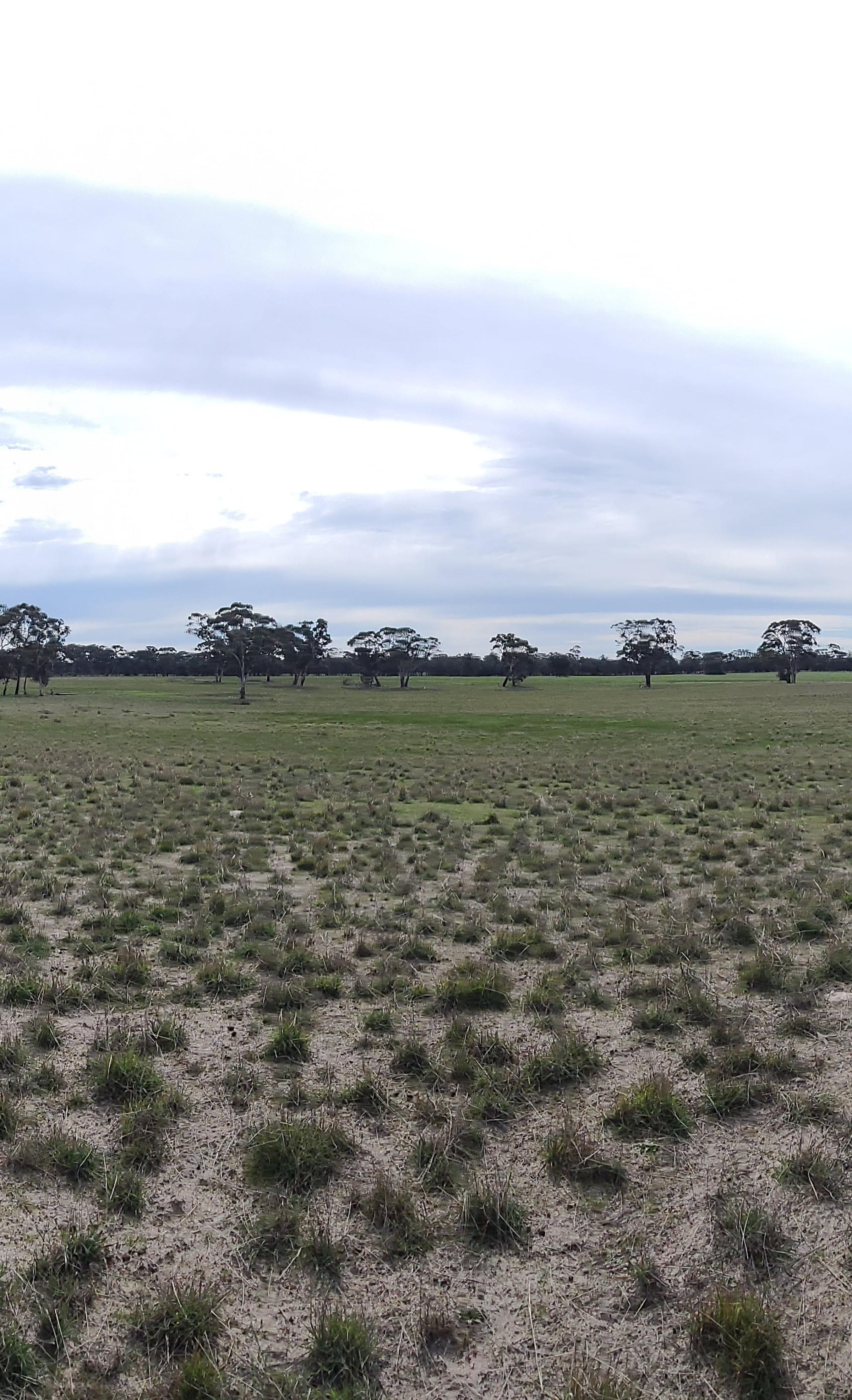Degraded landscape
