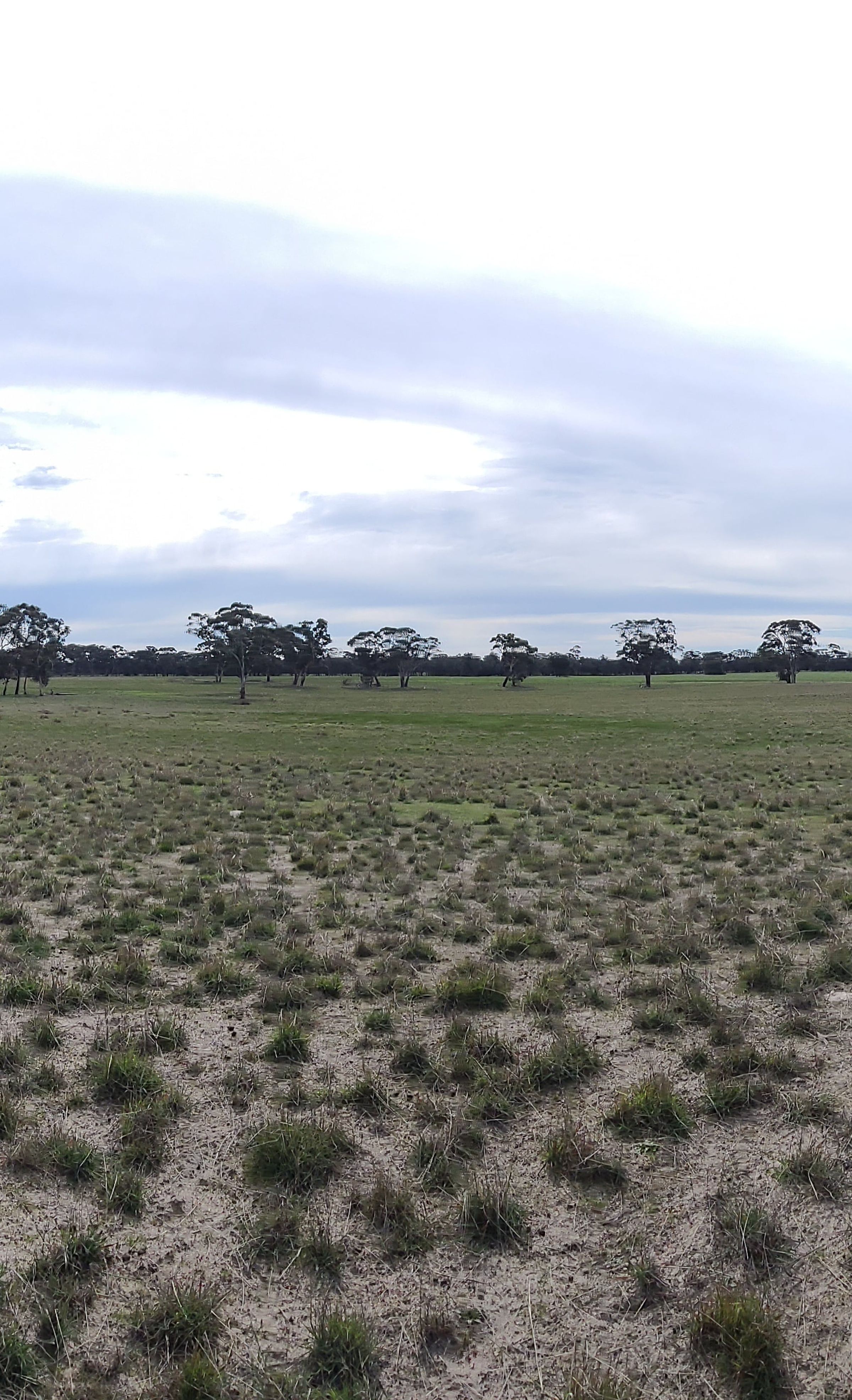 Degraded landscape