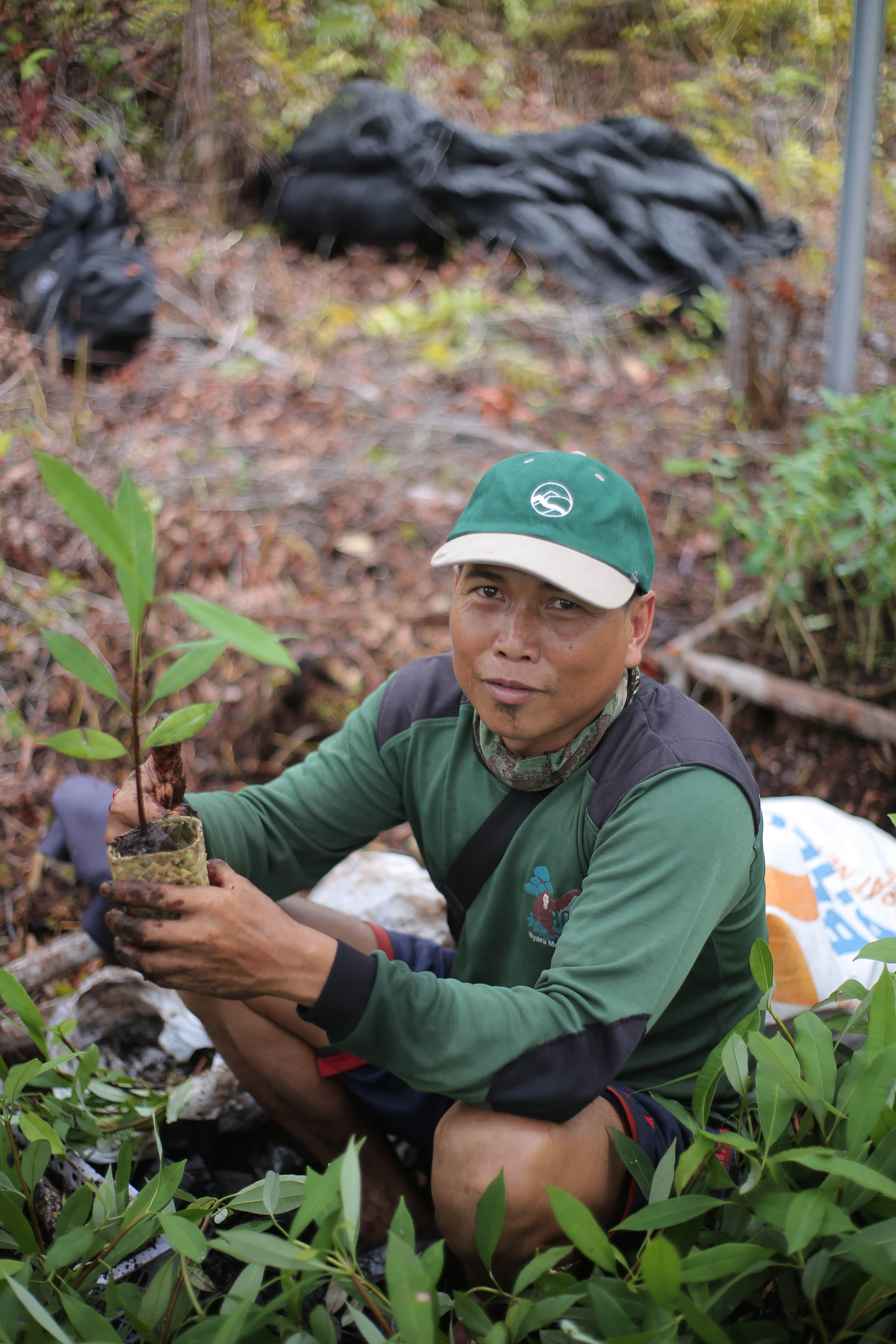 Indigenous Indonesian man planting tree in Borneo