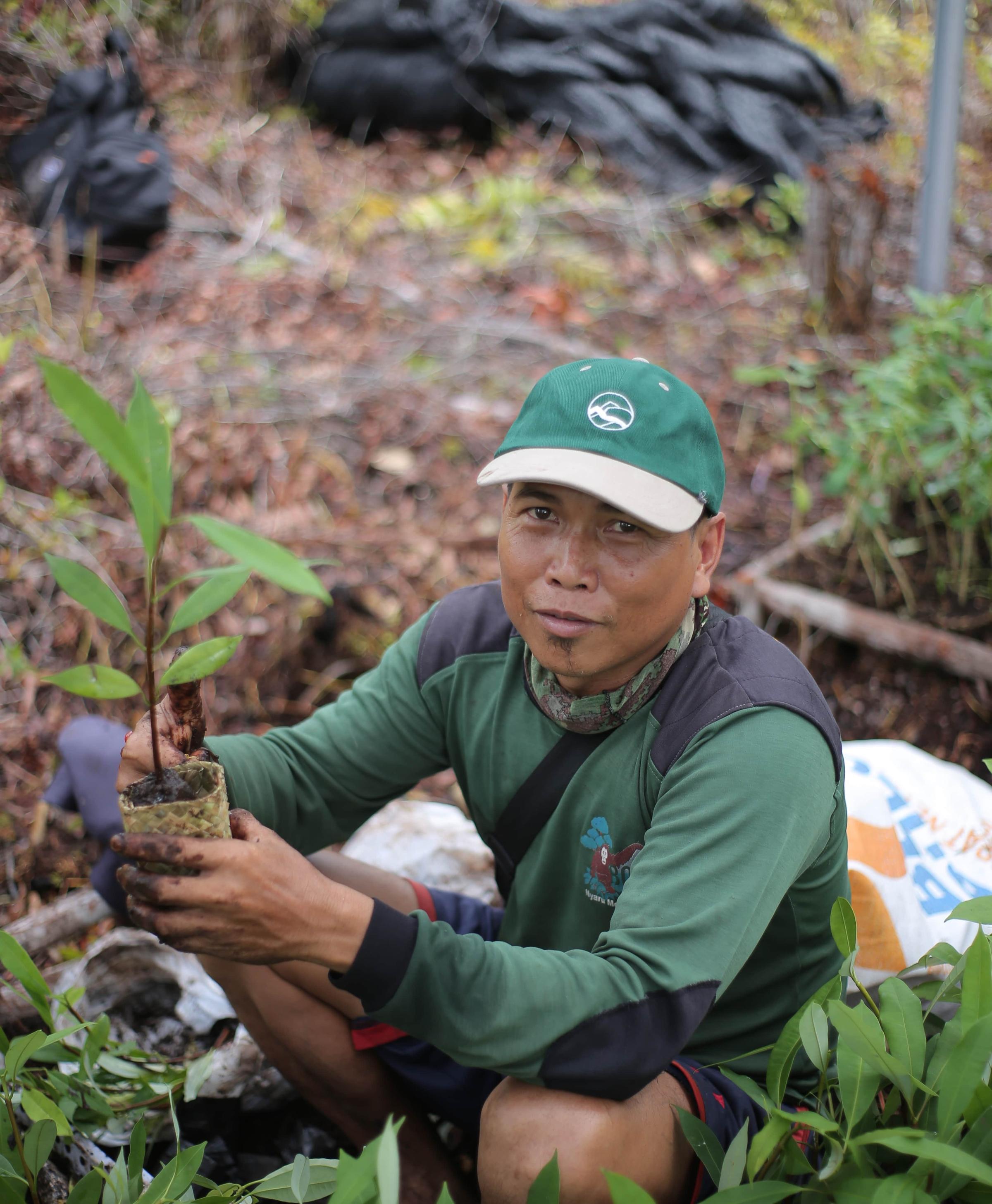 Indigenous Indonesian man planting tree in Borneo
