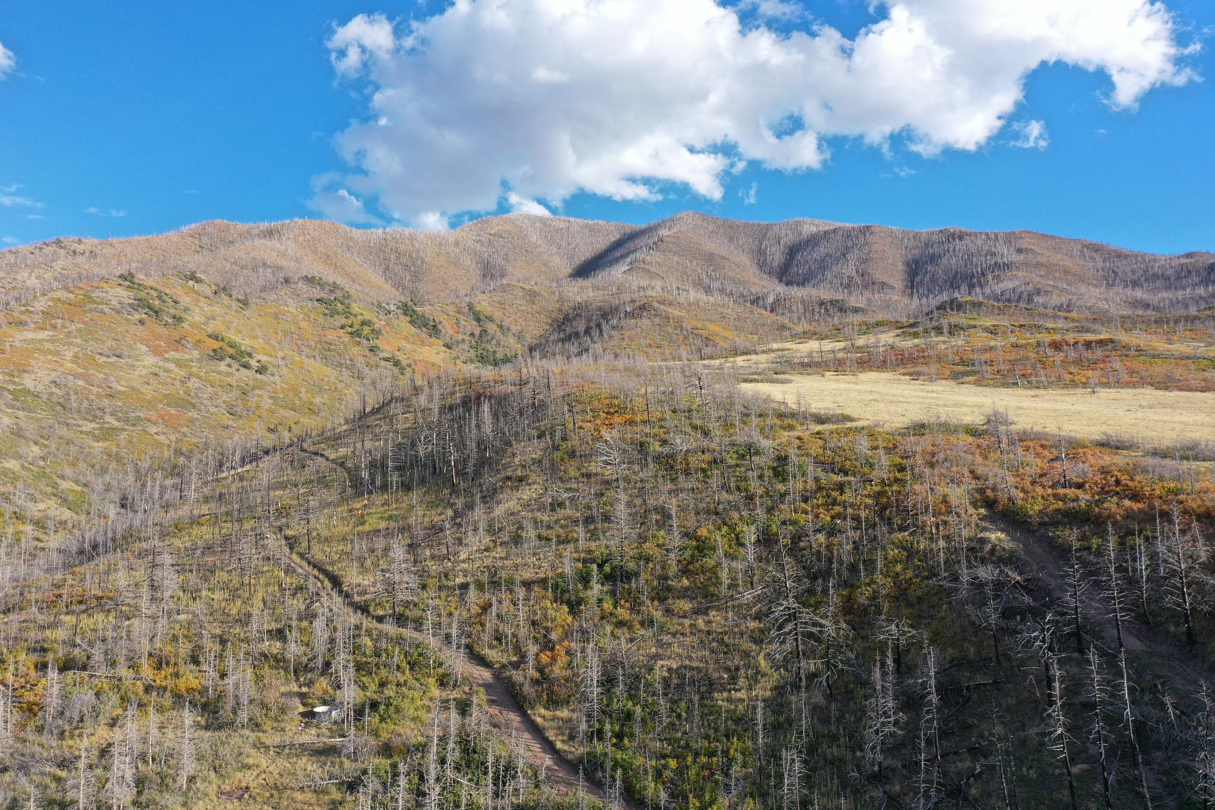 Colorado_Land Life