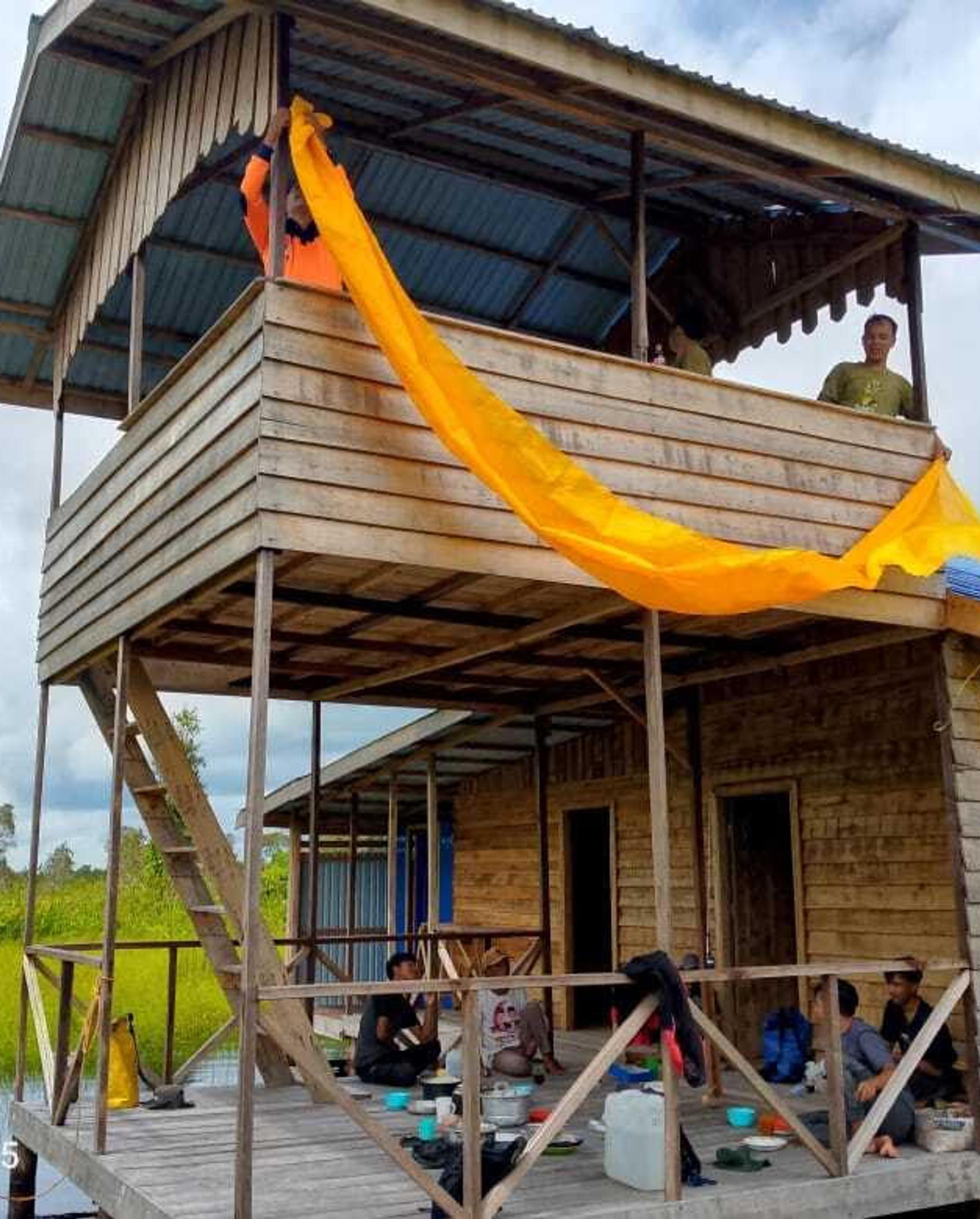 Borneo Orangutan Project | Nature Restoration | Land Life