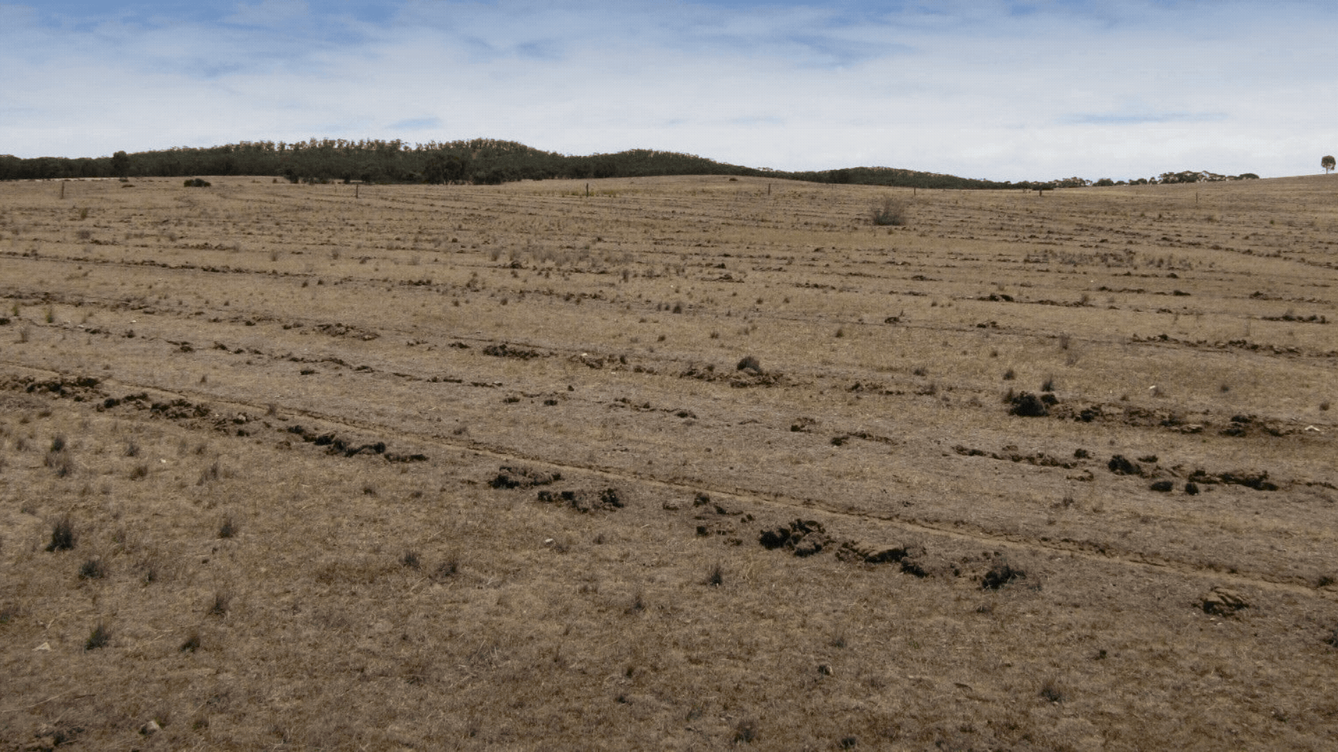 Central Victoria Before after