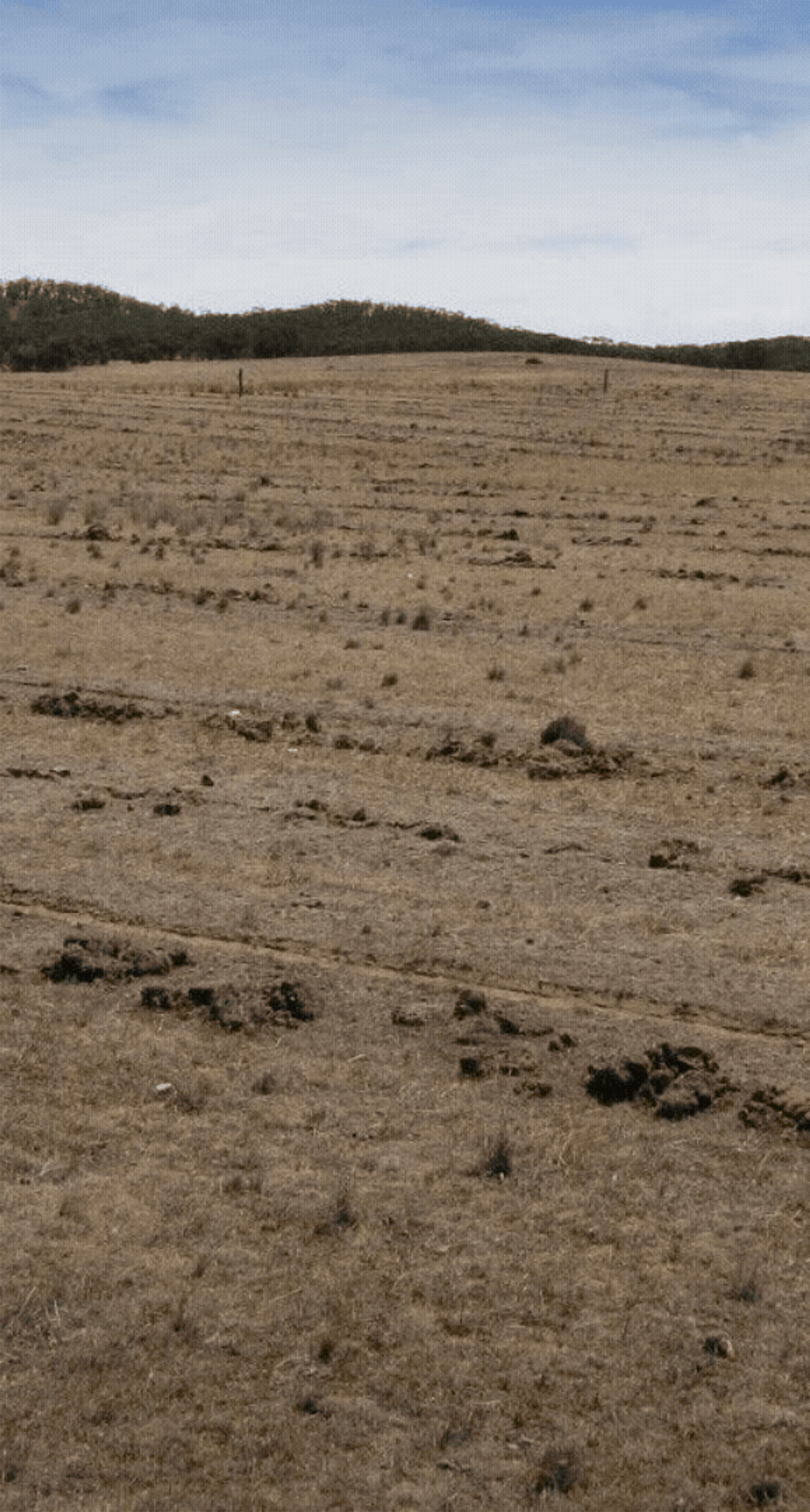 central victoria before after