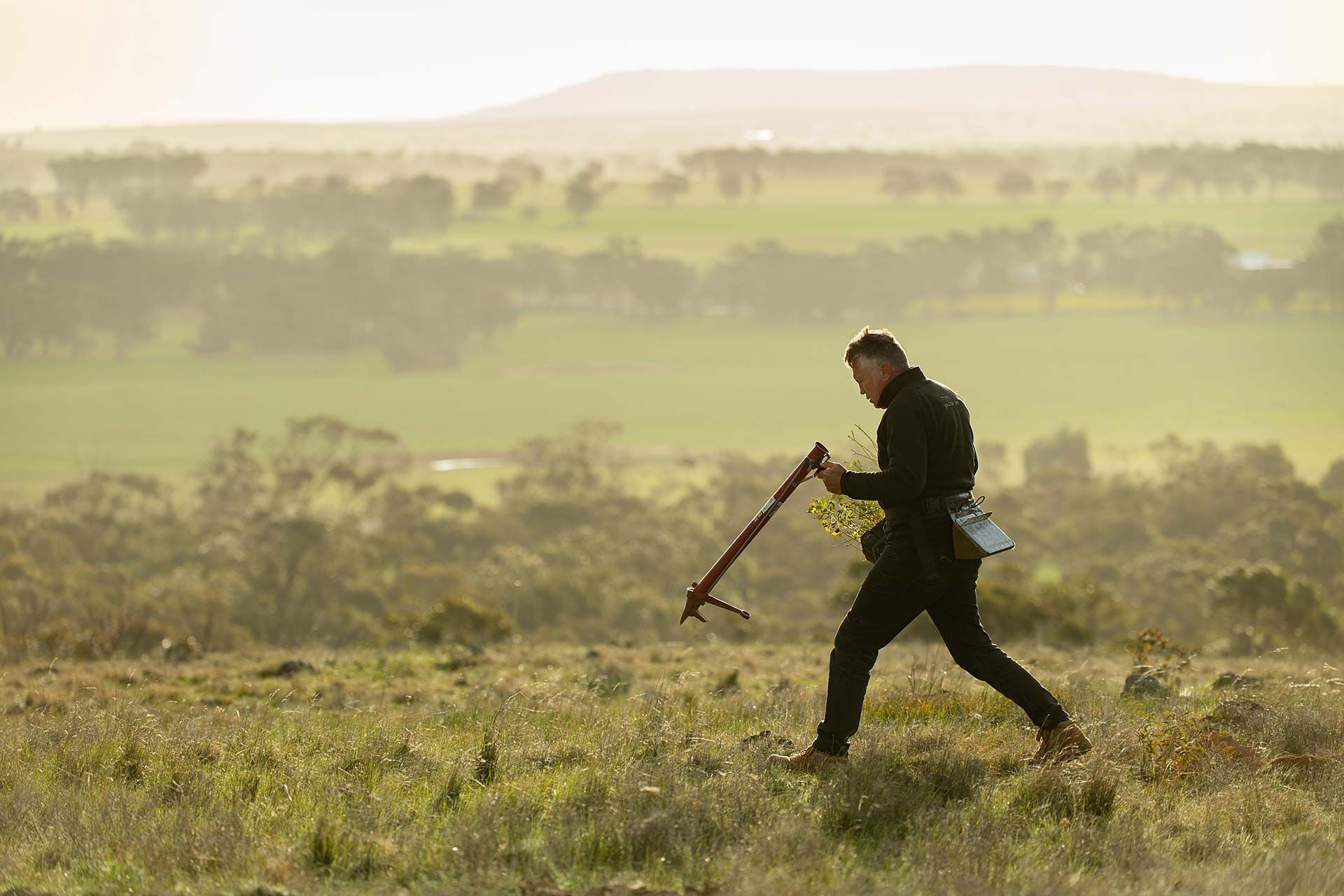 Man with tree planting device planting in rural Australian landscape