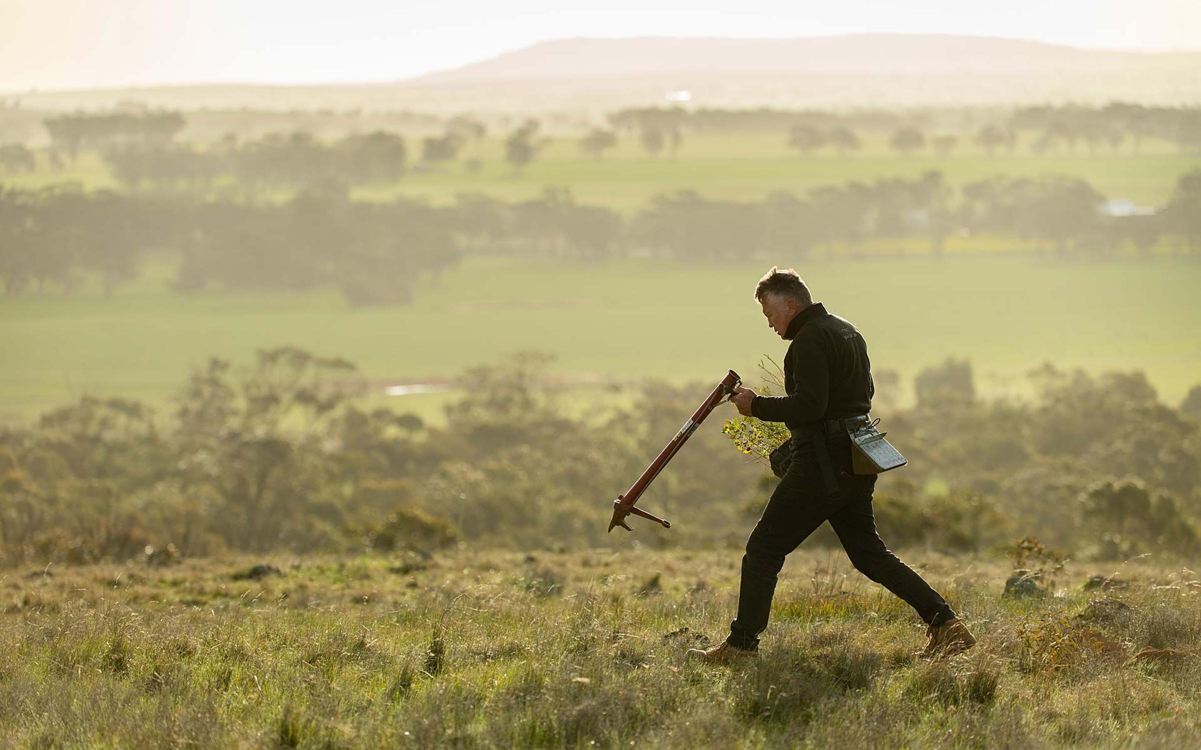 Man with tree planting device planting in rural Australian landscape