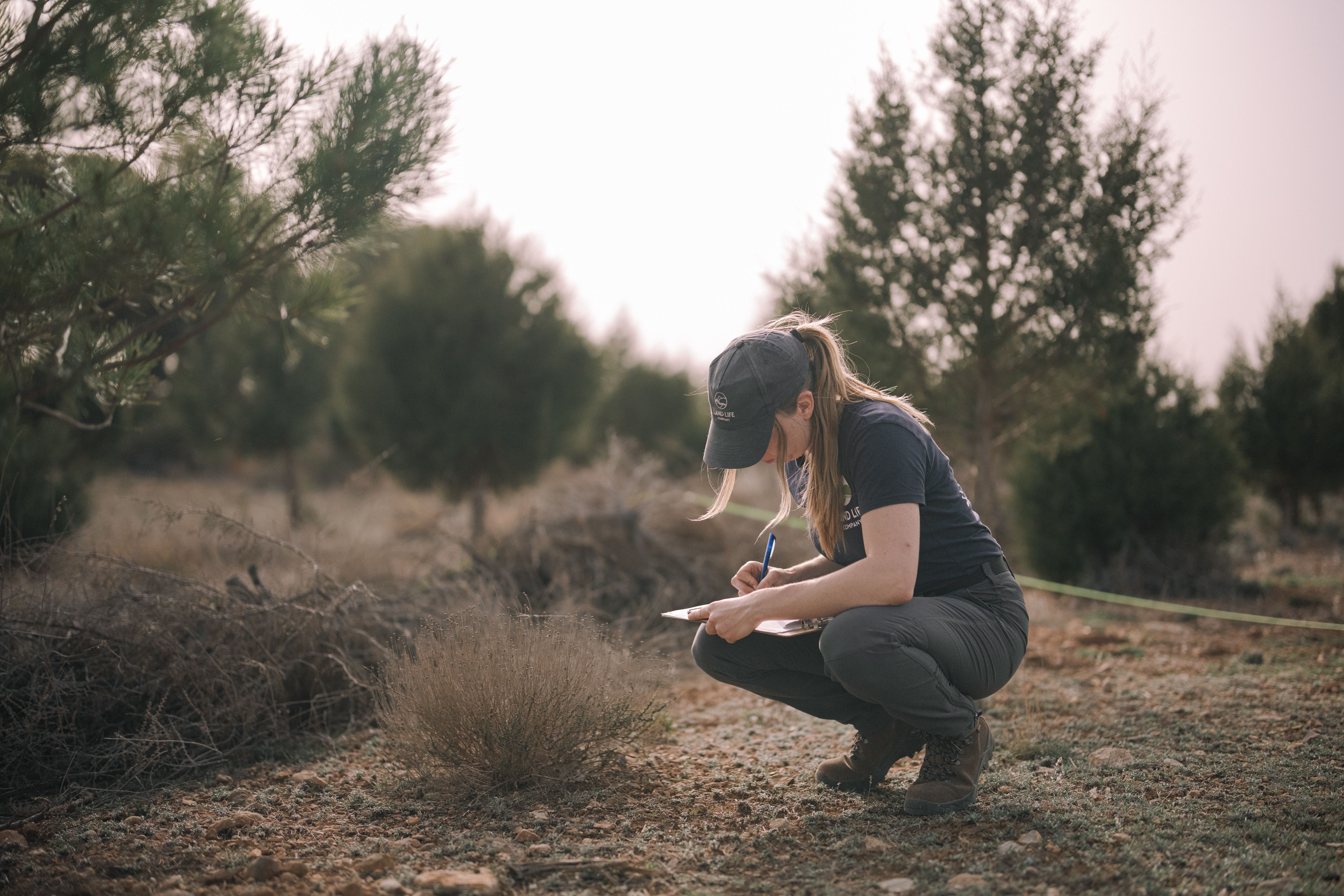 Two workers doing field work - measuring biodiversity in forest