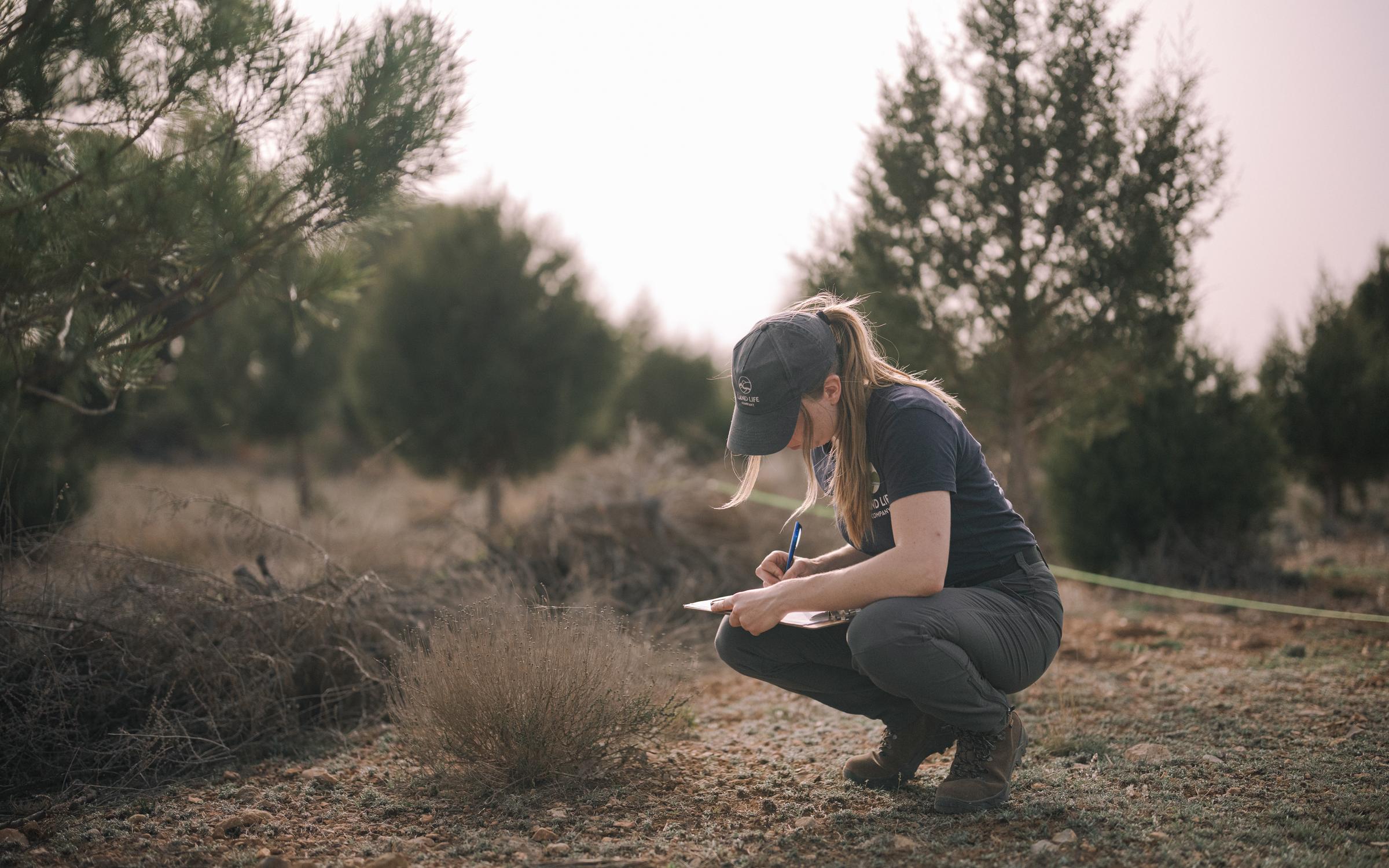Two workers doing field work - measuring biodiversity in forest