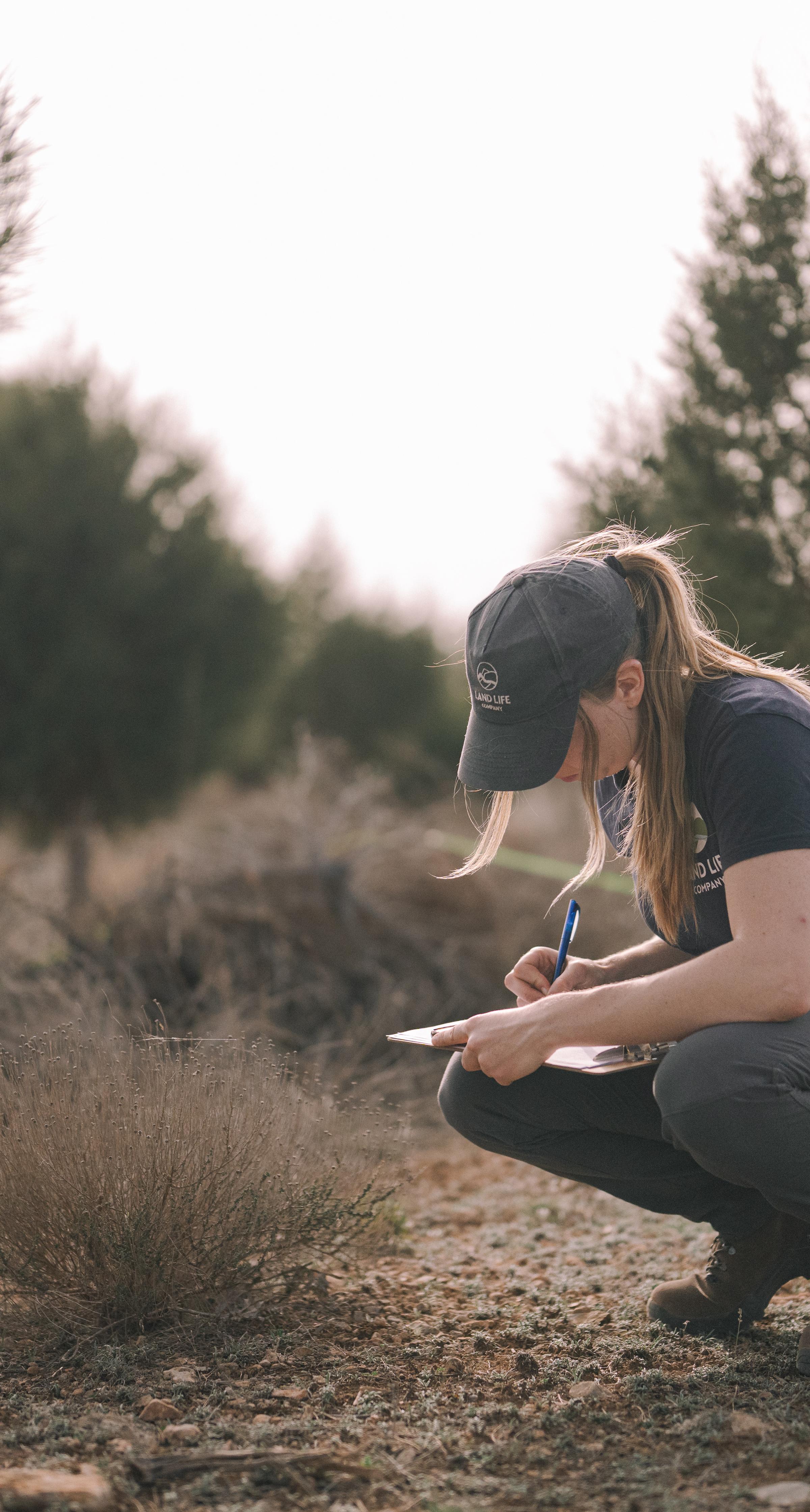 Two workers doing field work - measuring biodiversity in forest