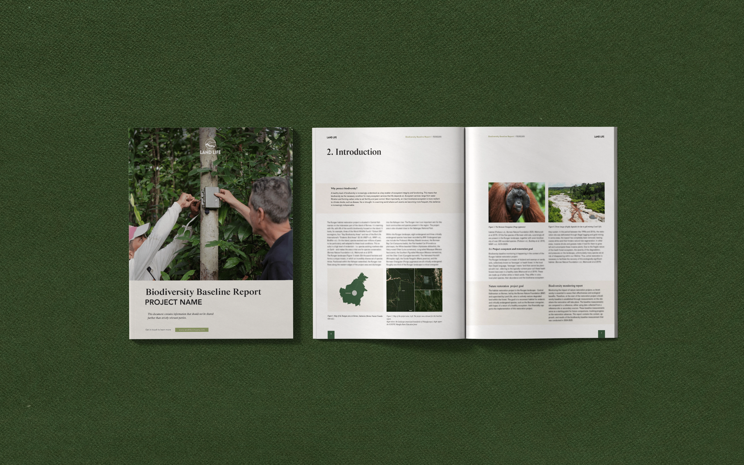 Sample biodiversity baseline report