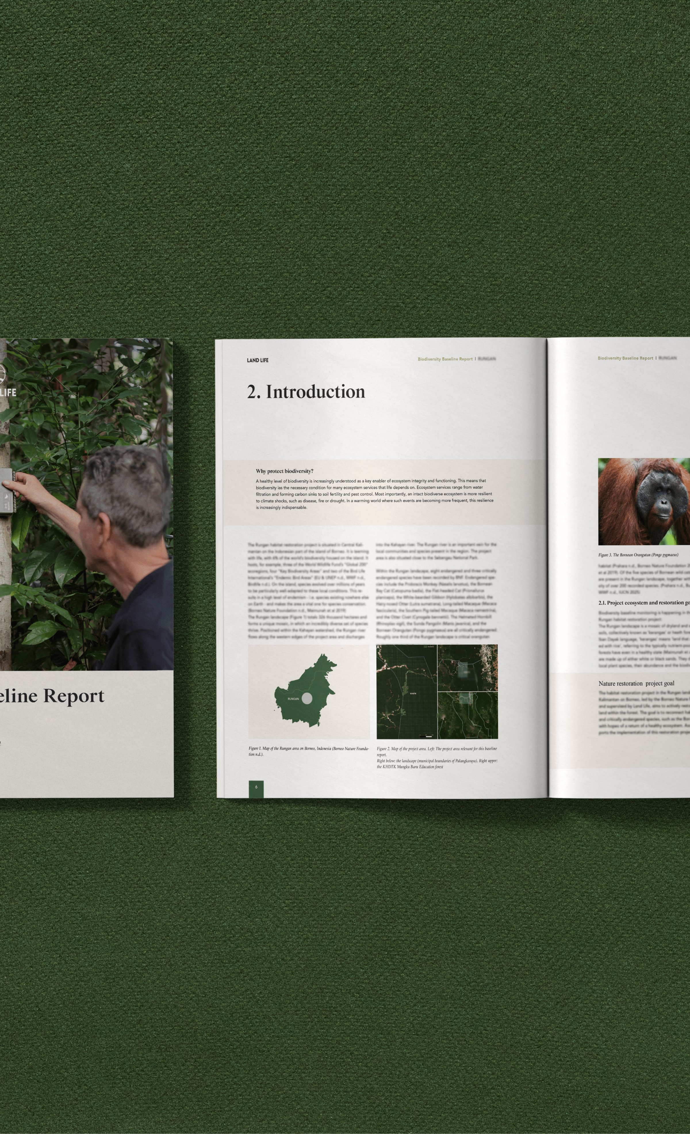 Sample biodiversity baseline report
