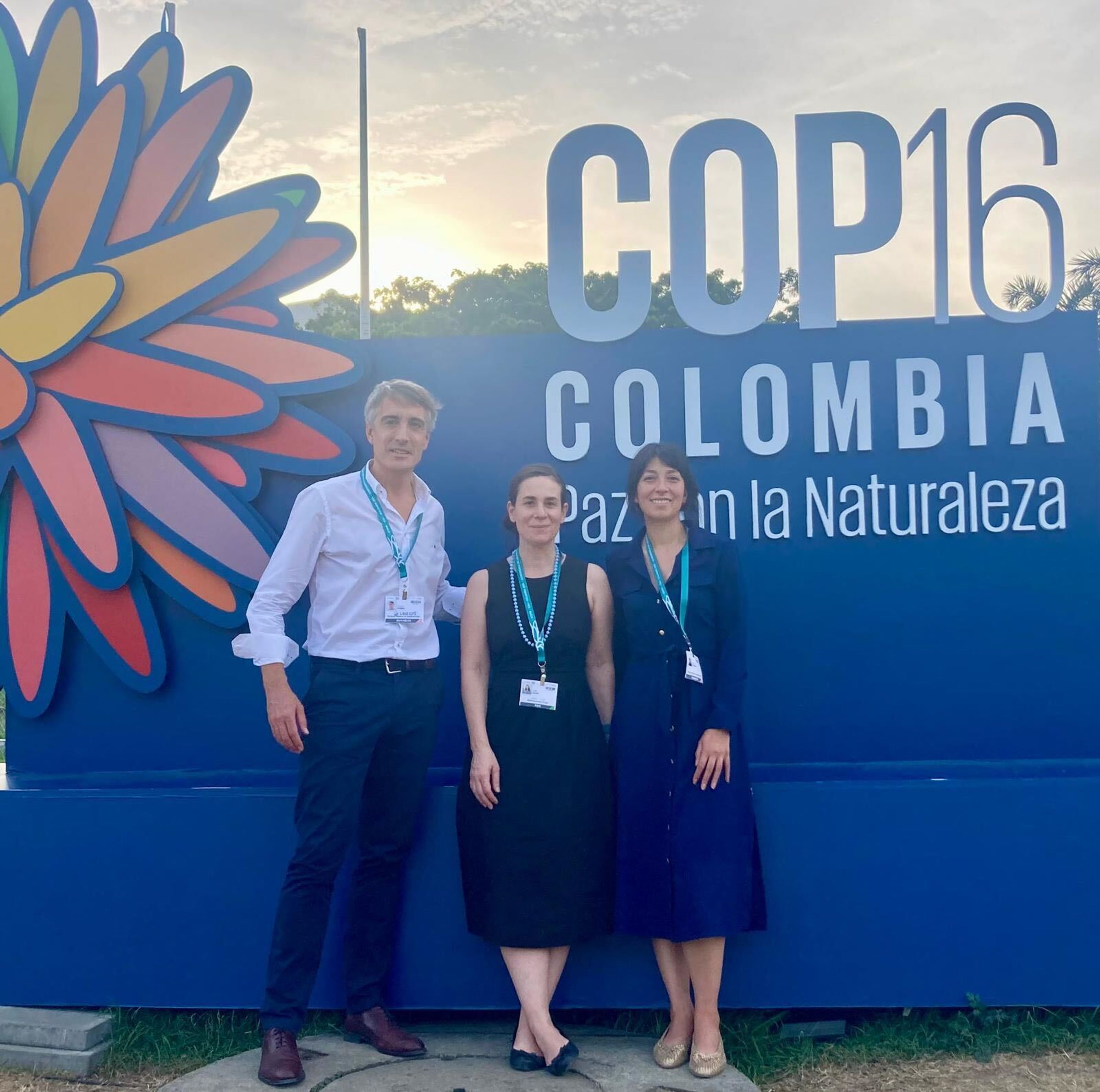 Land Life at COP16