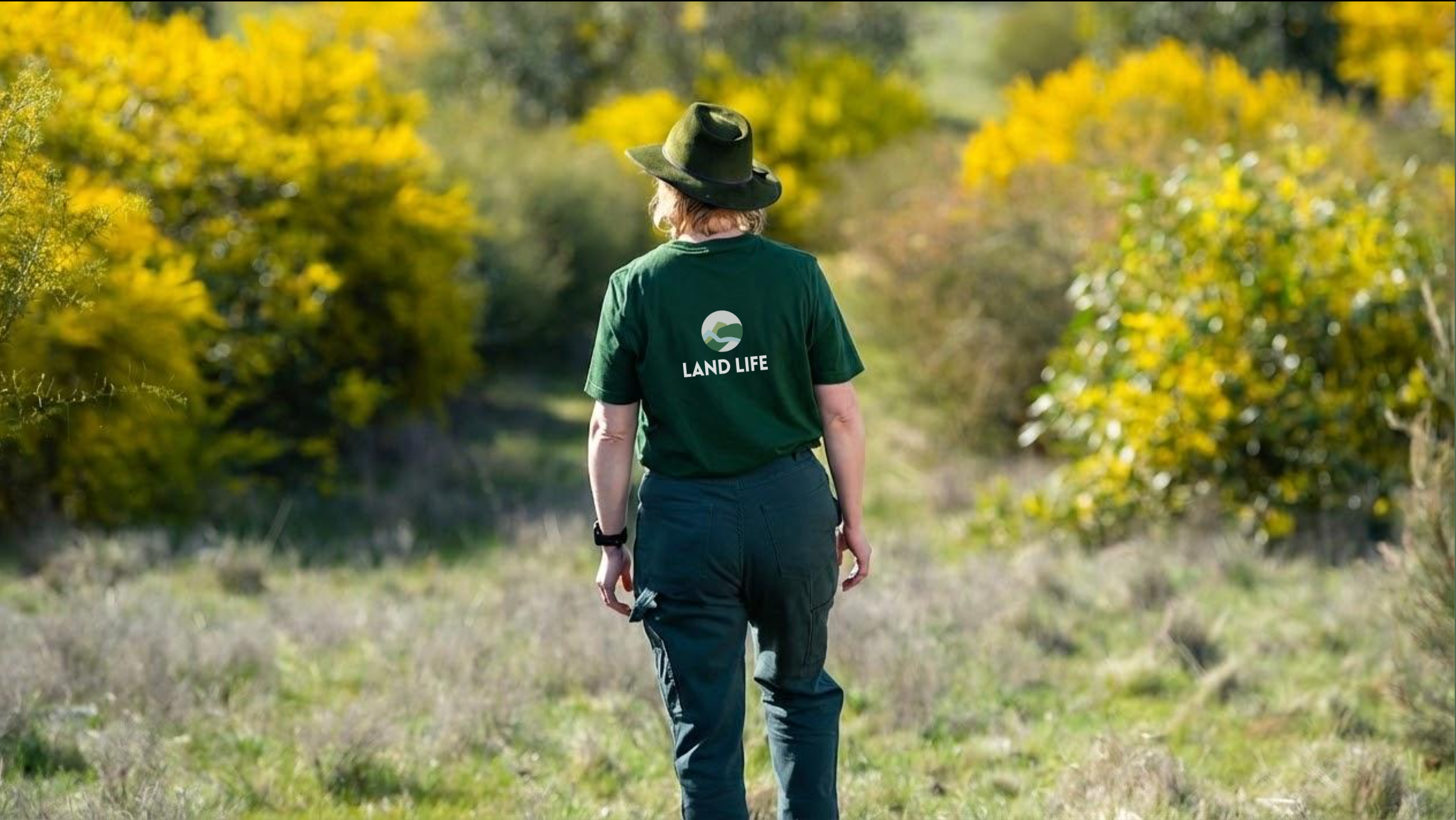 land lifer from the back