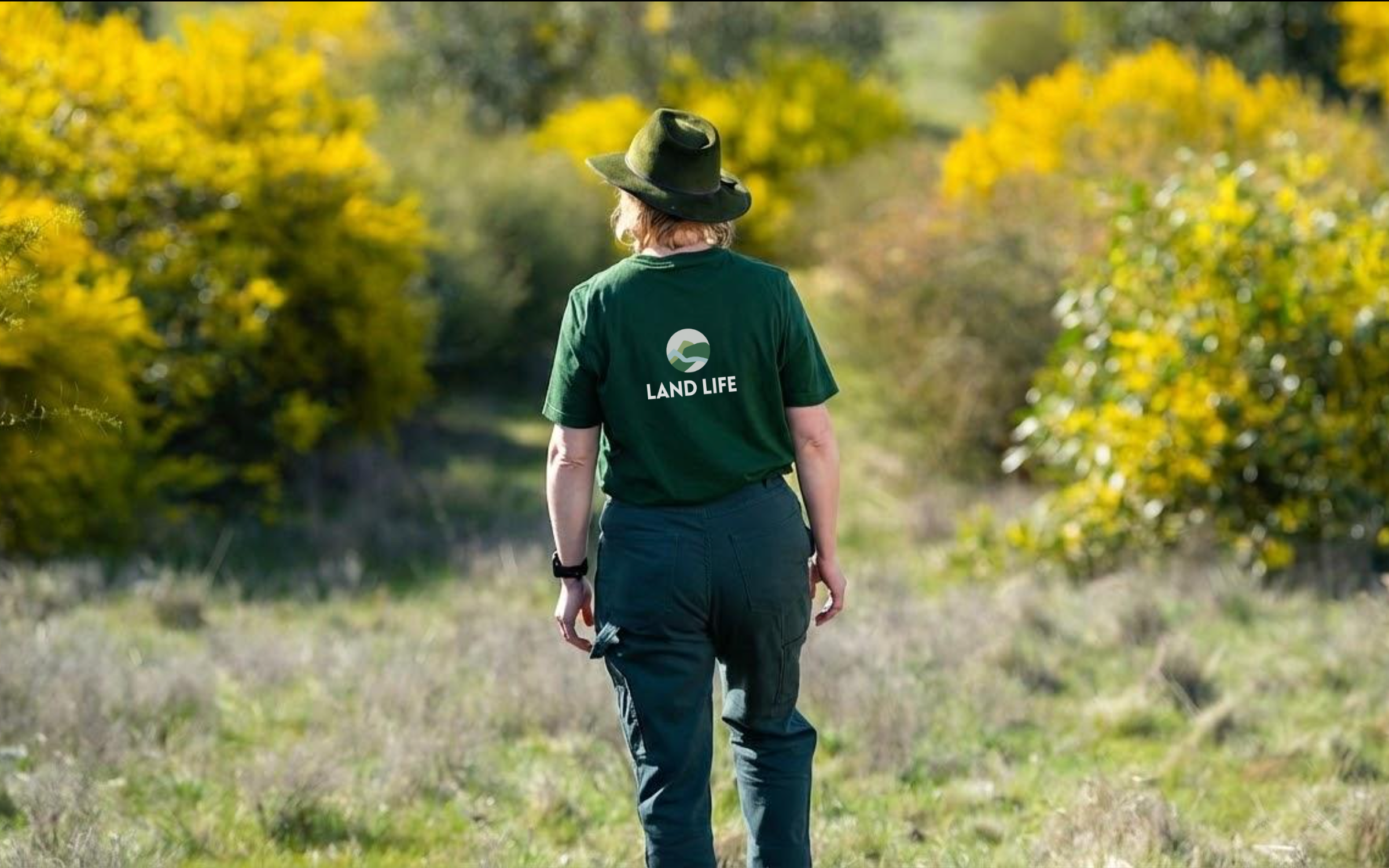 land lifer from the back