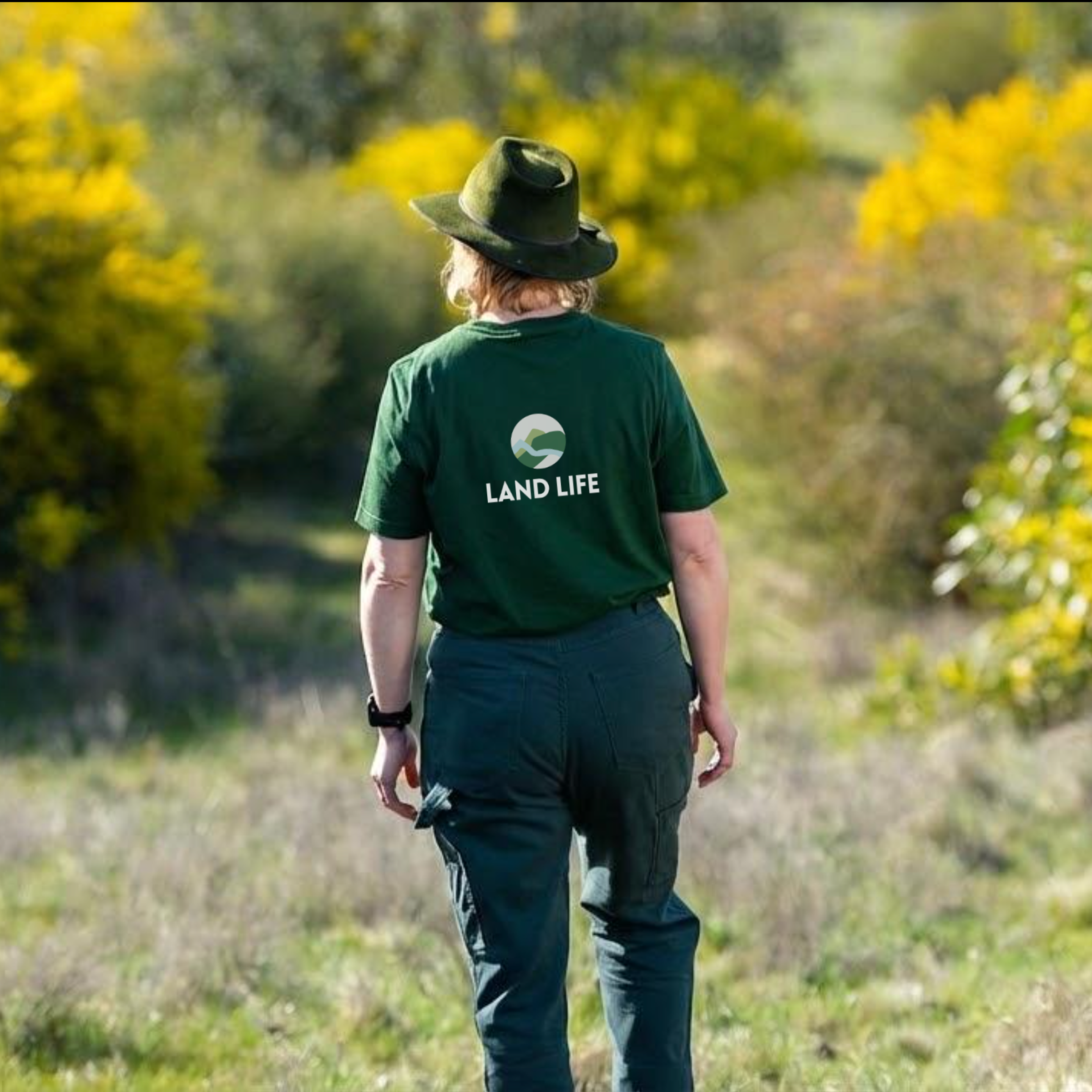 land lifer from the back
