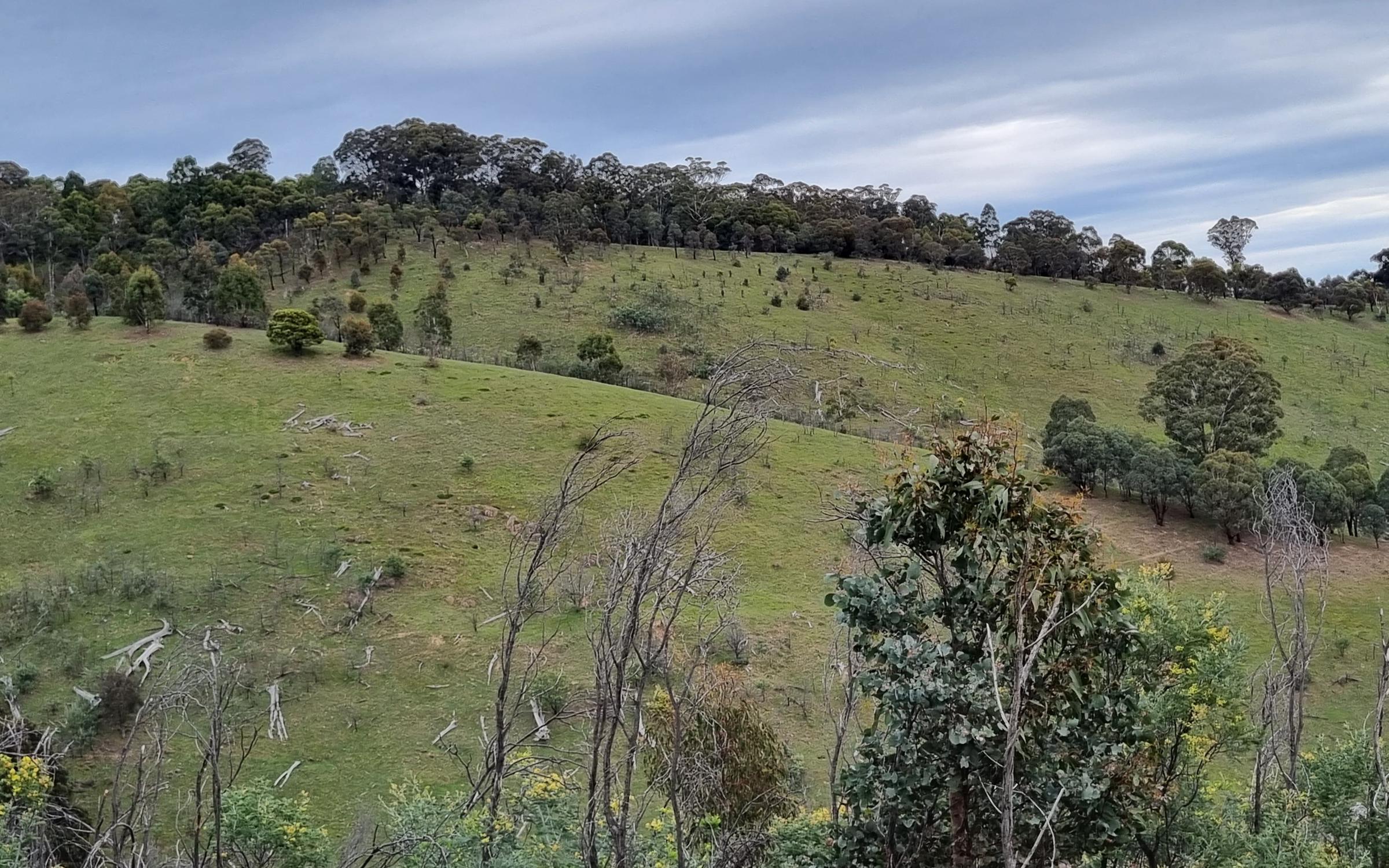 Degraded landscape