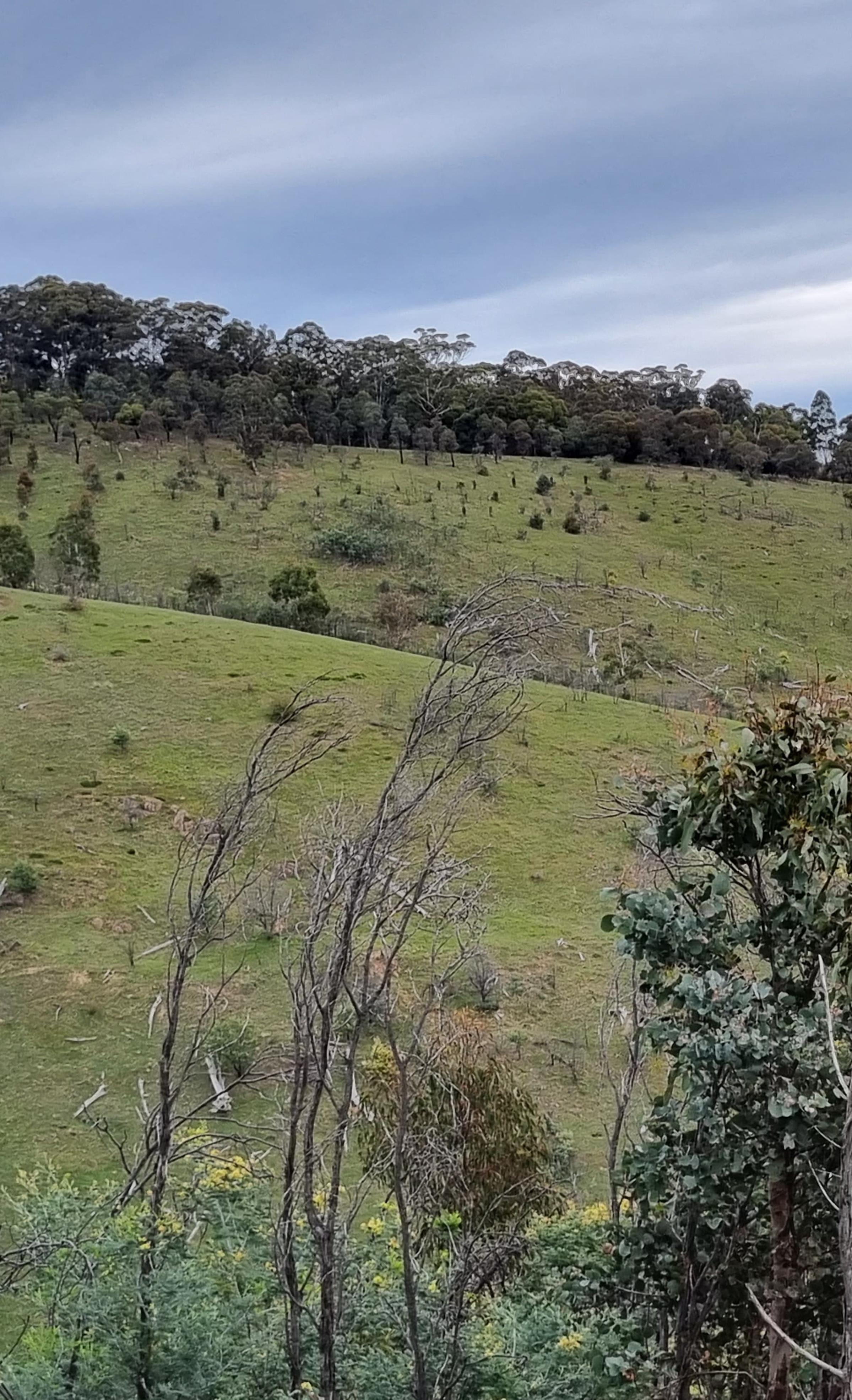 Degraded landscape