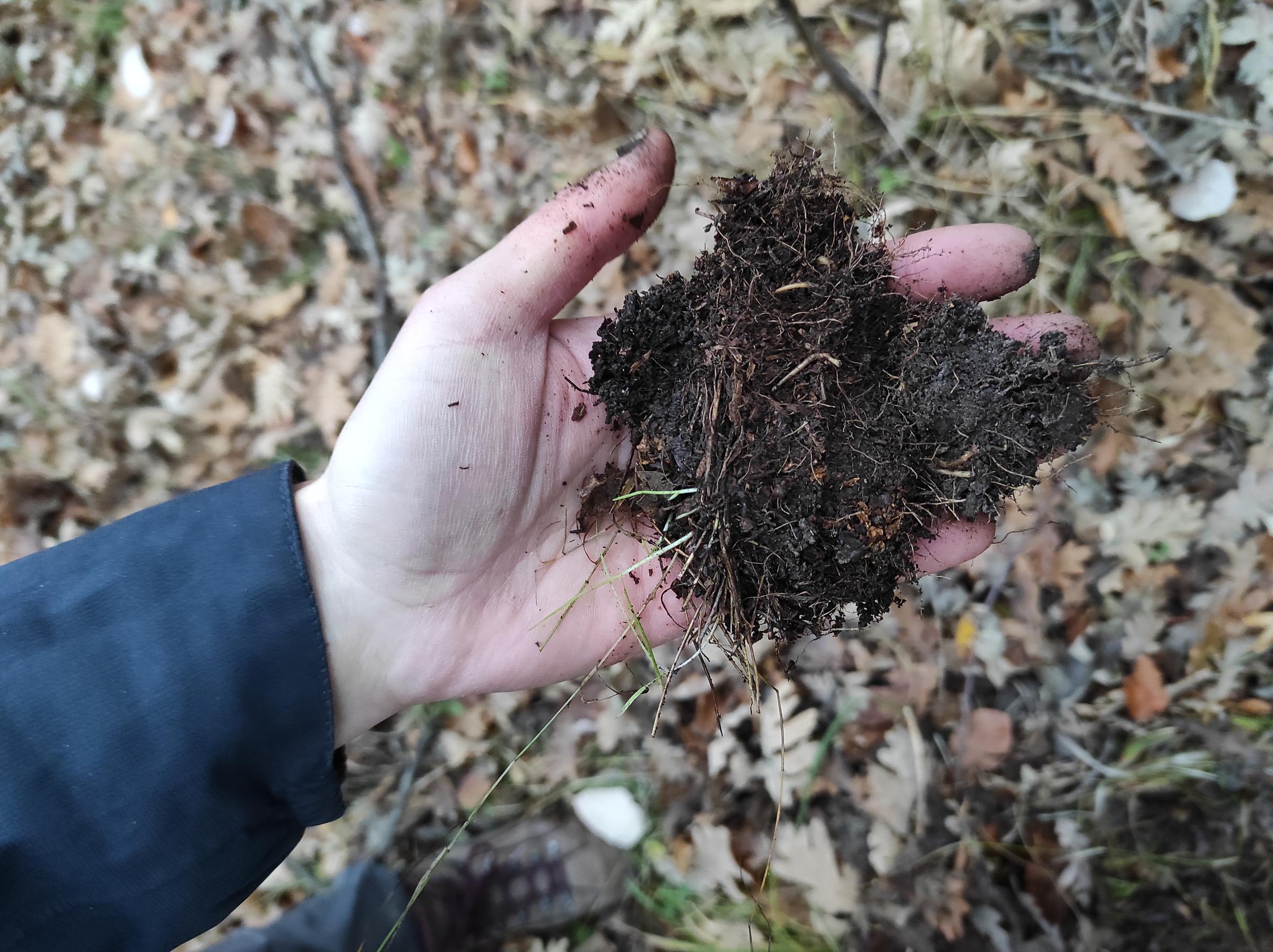 soil eDNA