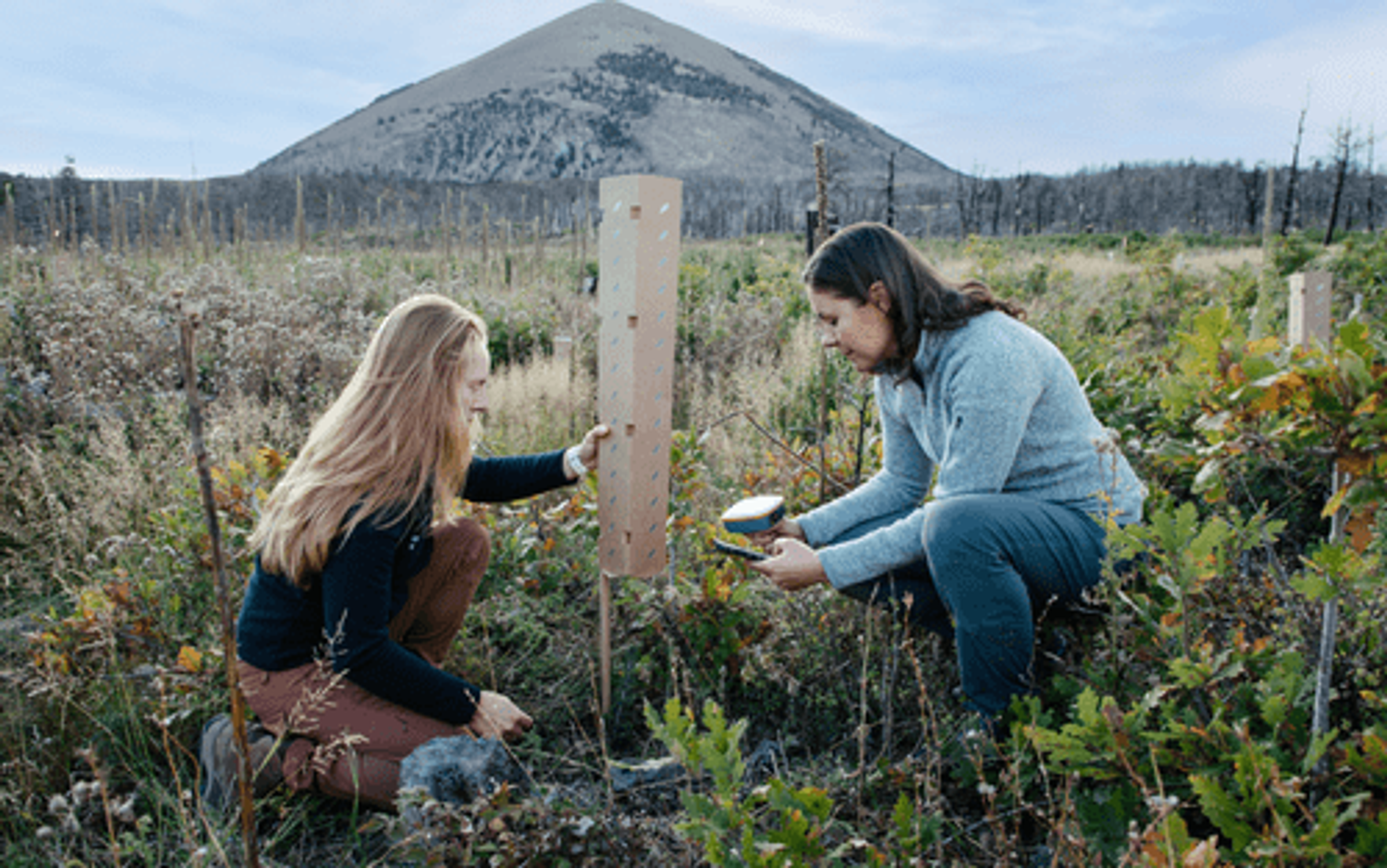 Post wildfire land restoration in Colorado