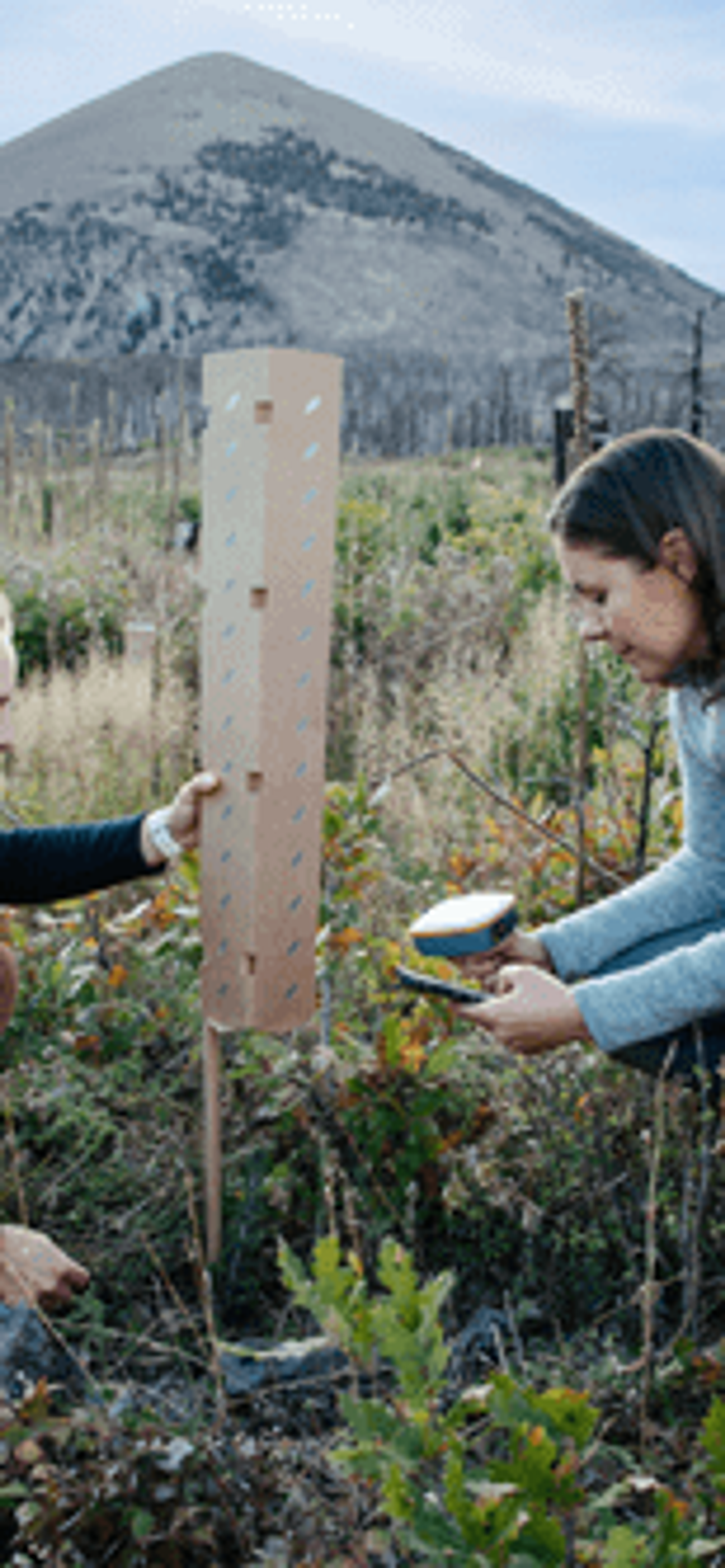 Post wildfire land restoration in Colorado