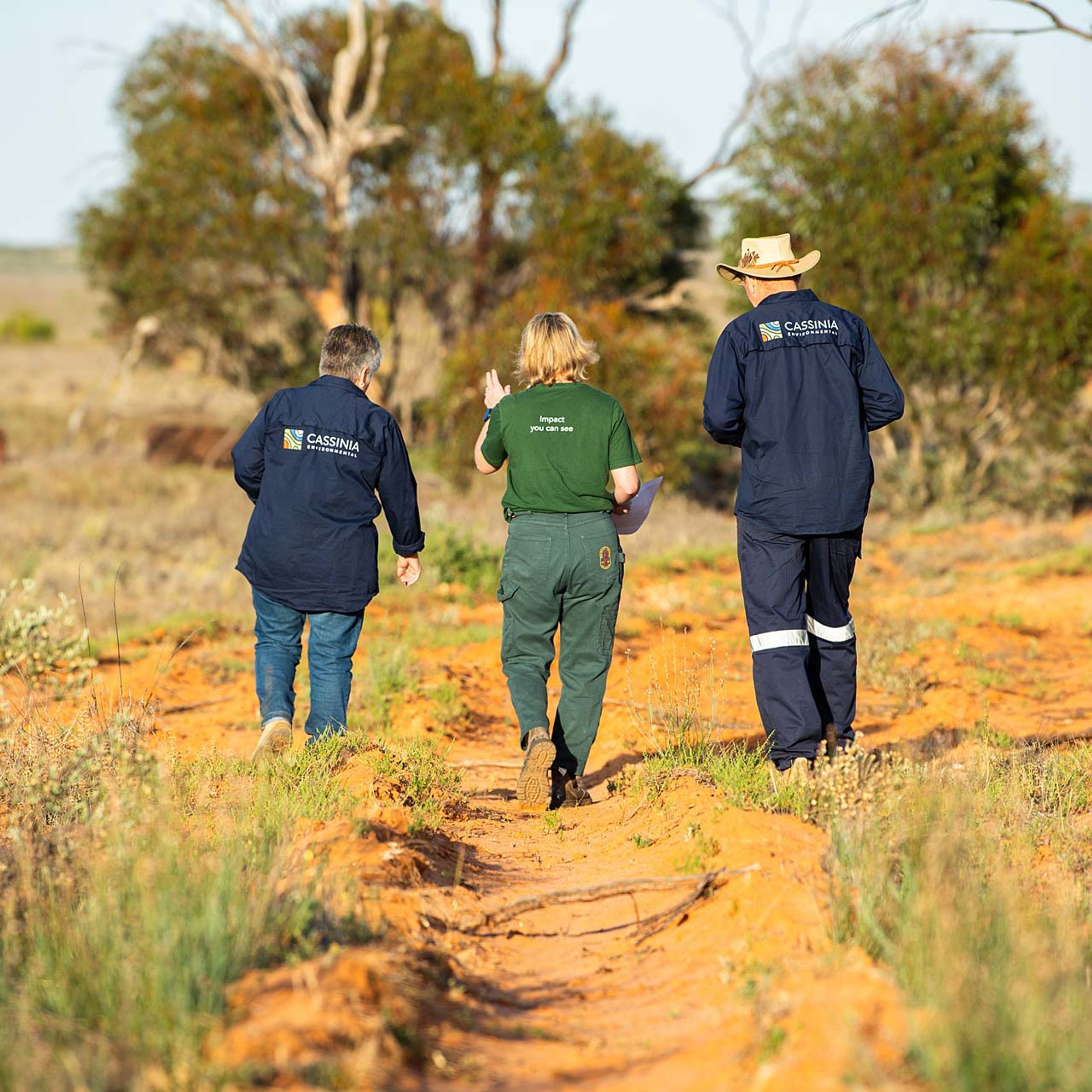 Land Life and Cassinia Environmental employees walking on reforestation site