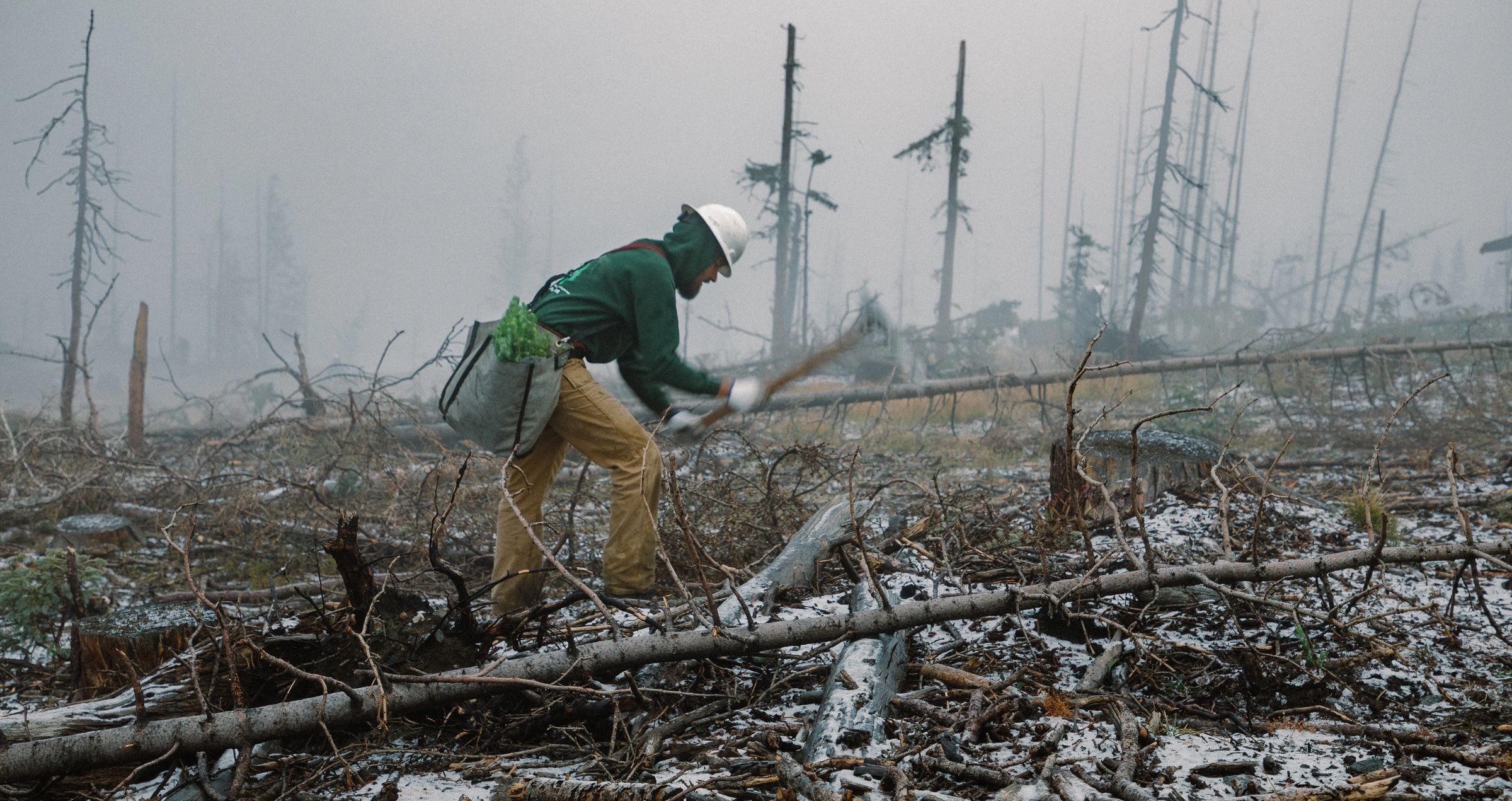 Post-Wildfire Land Restoration in Colorado