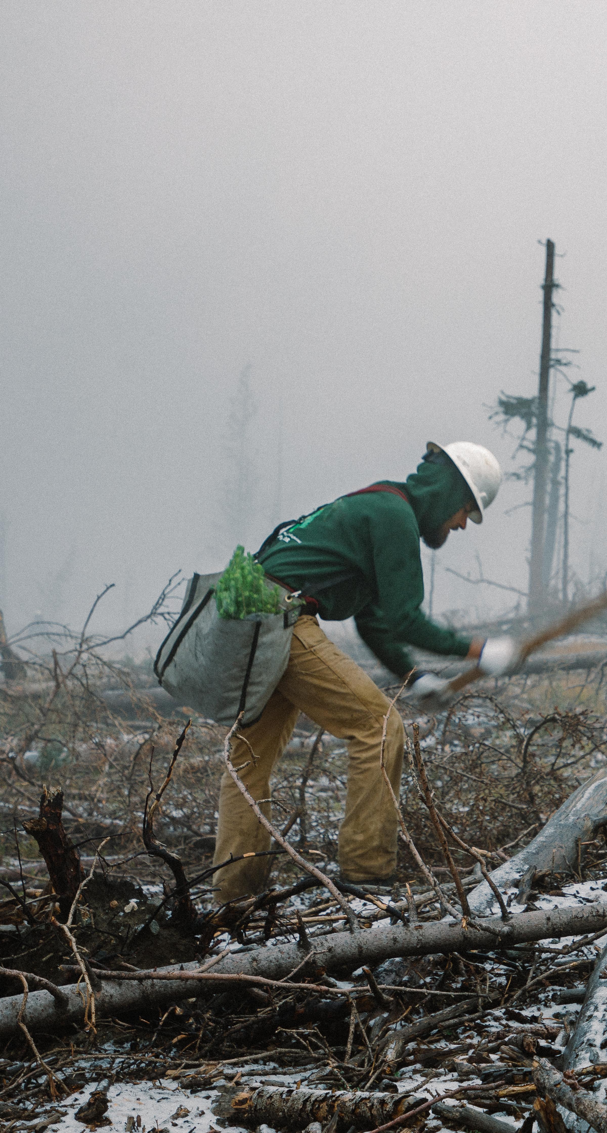 Man working on a burnt forest