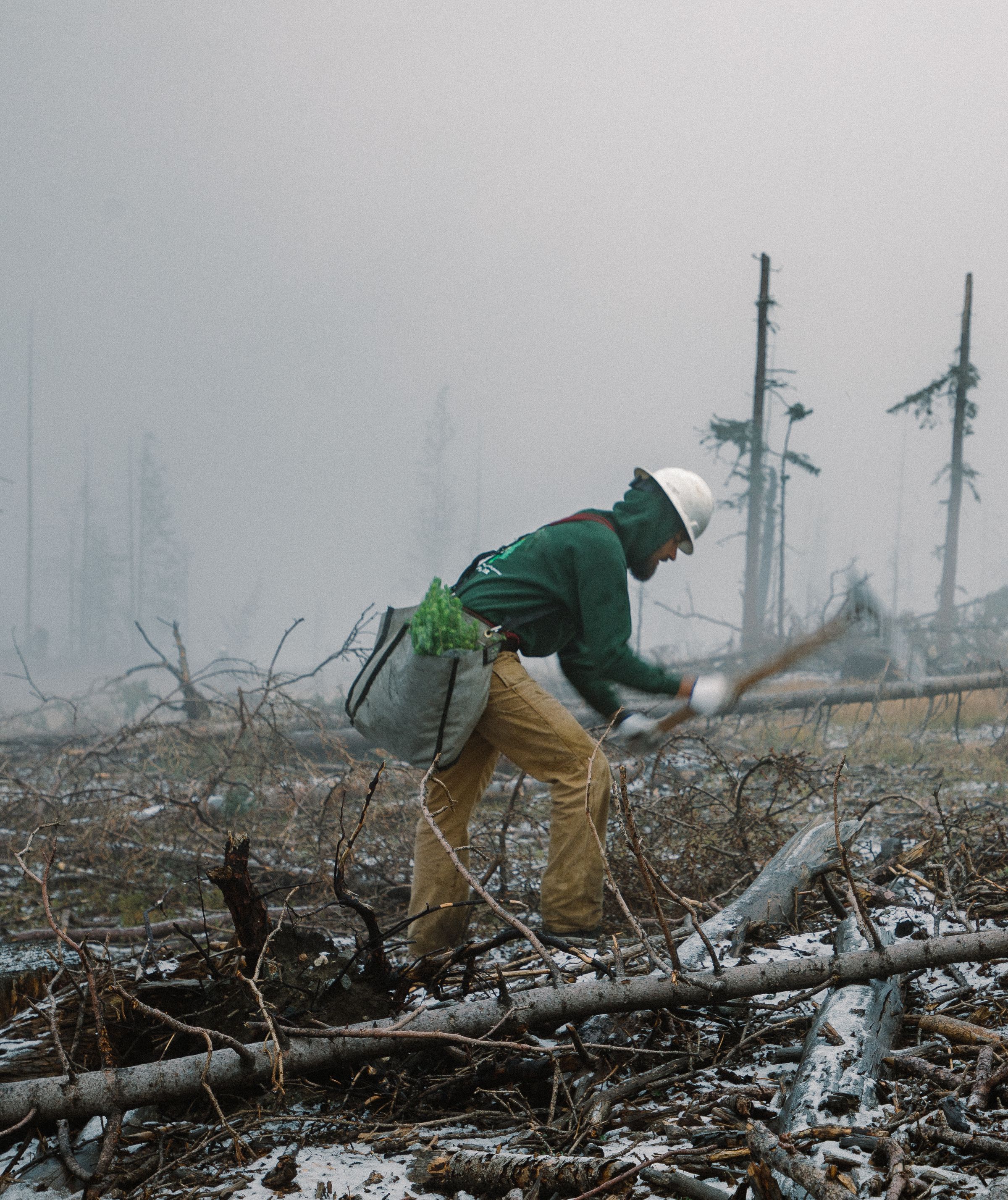 Post-Wildfire Land Restoration in Colorado