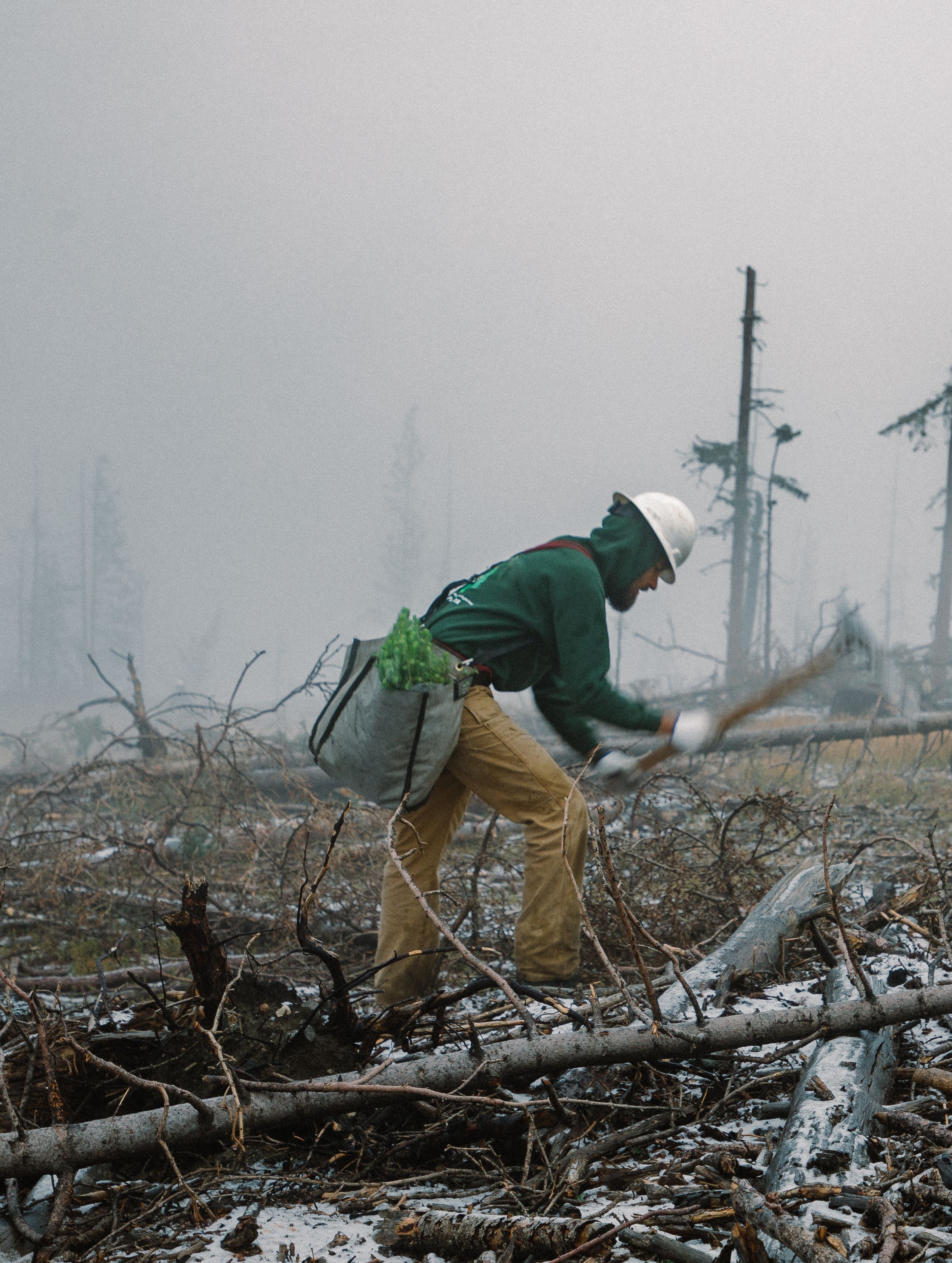 Post-Wildfire Land Restoration in Colorado
