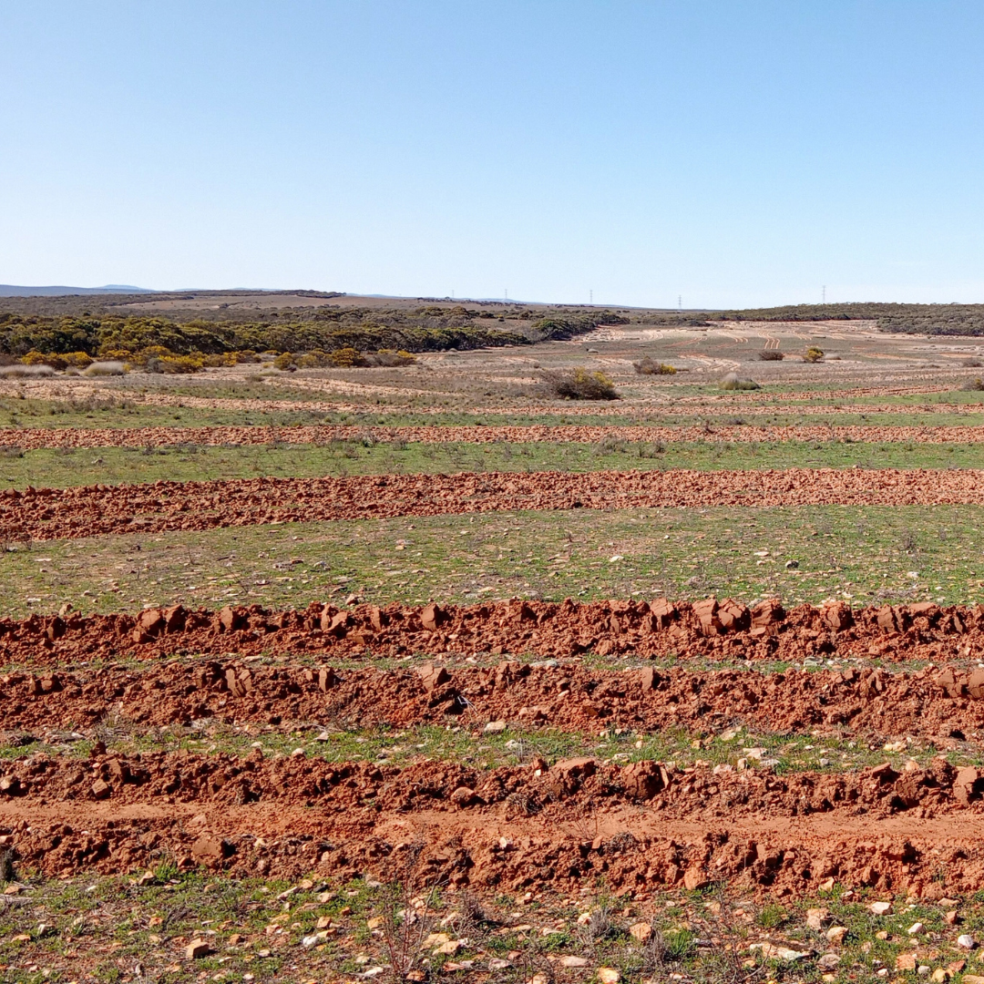 Degraded land in South Australia