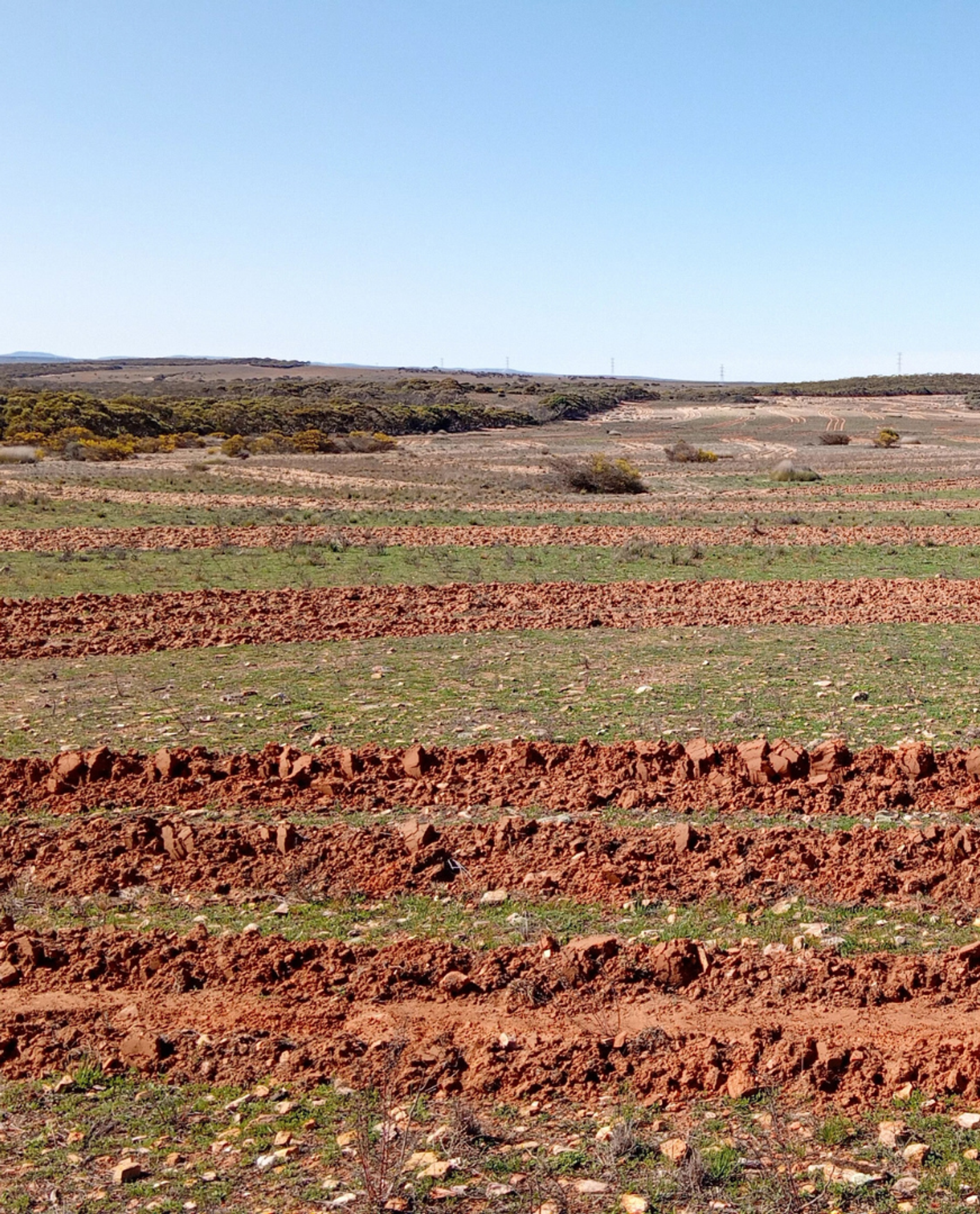 Degraded land in South Australia