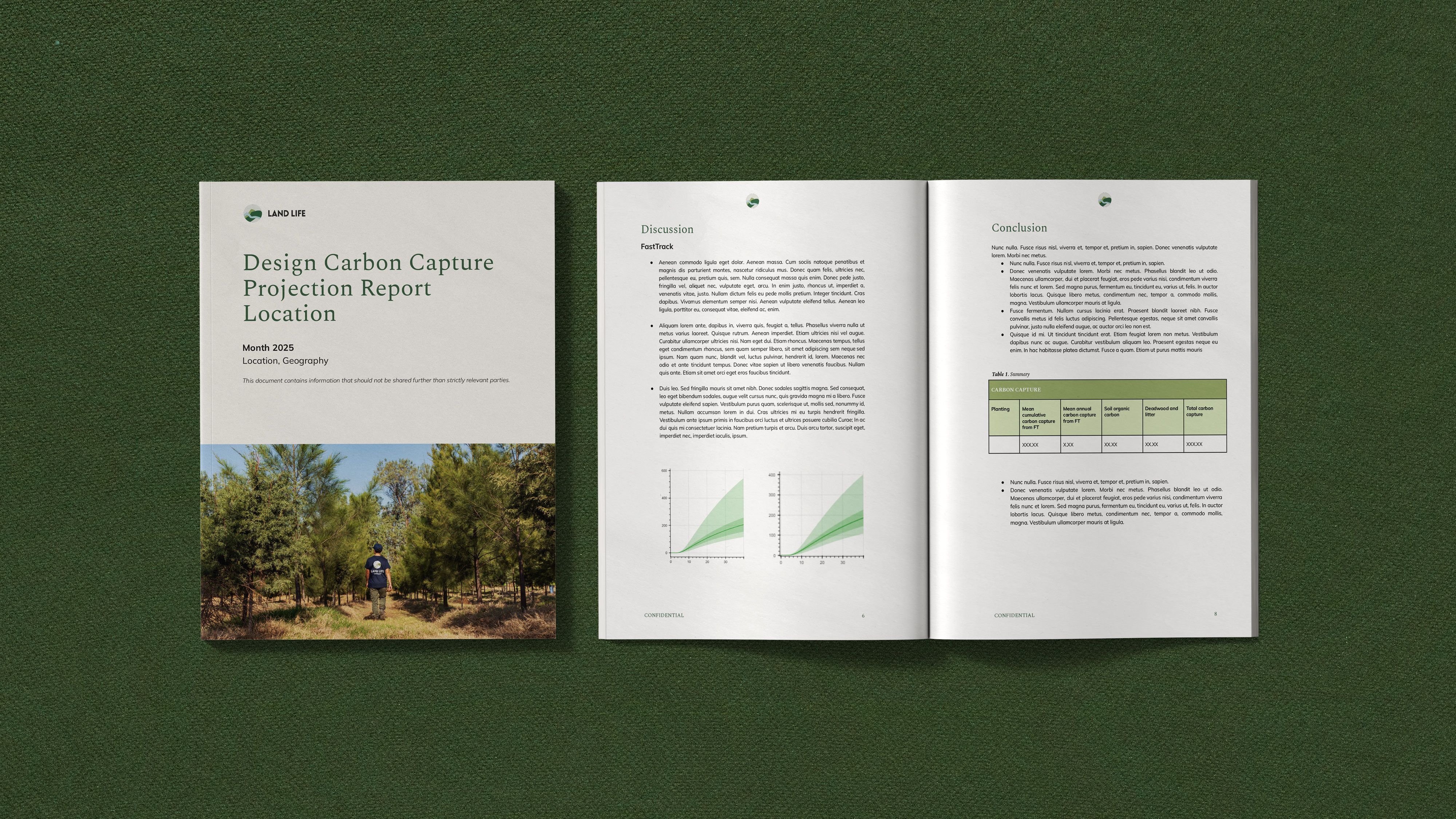 Carbon Capture Projection Report sample
