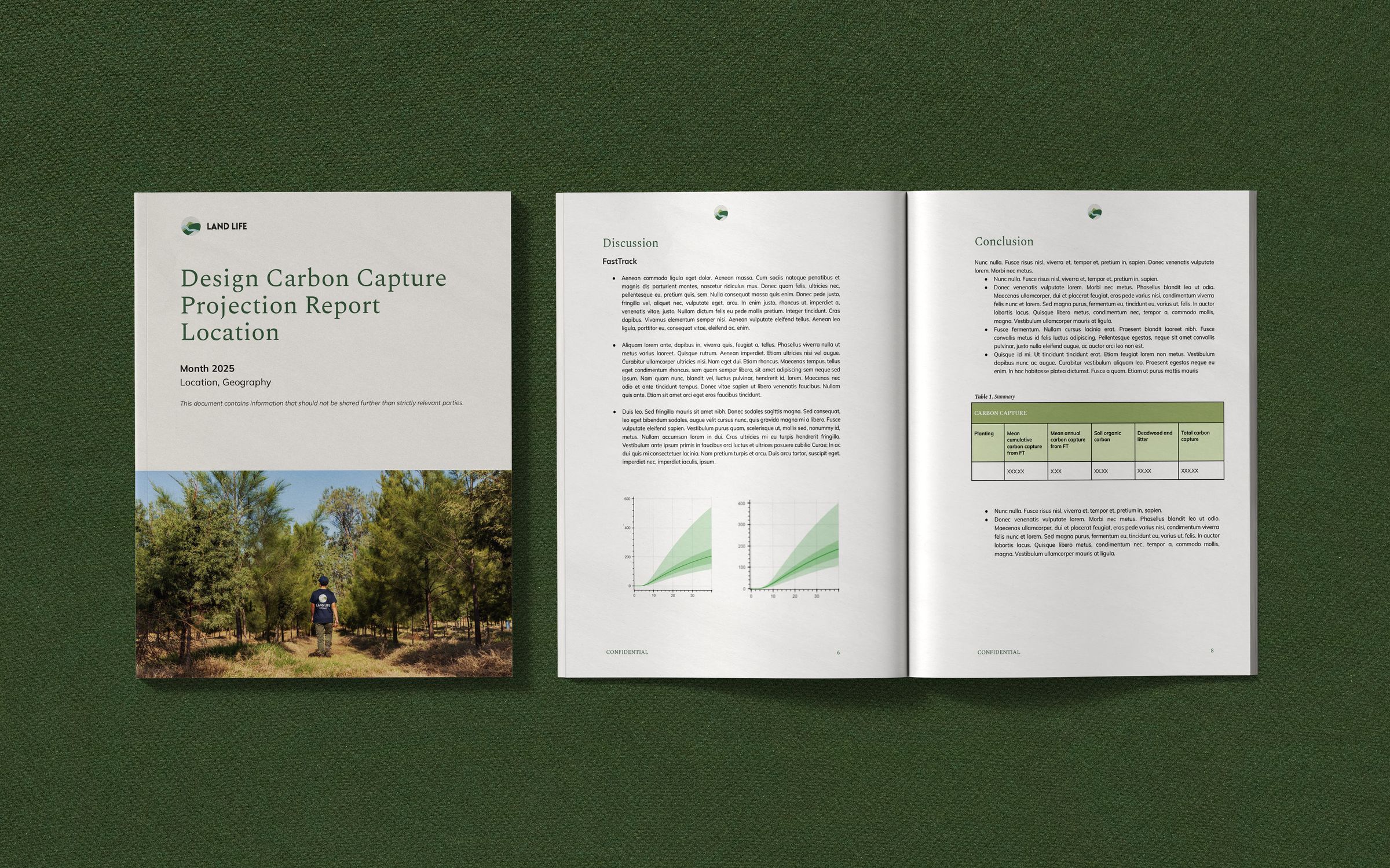 Carbon Capture Projection Report sample