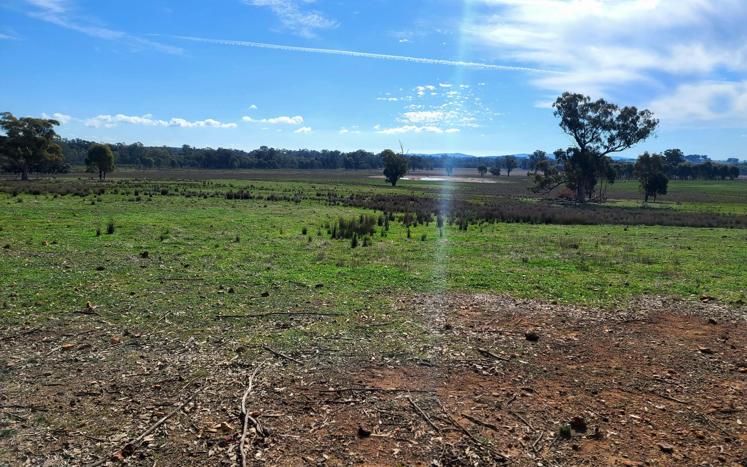 Degraded land at Earlston Victoria