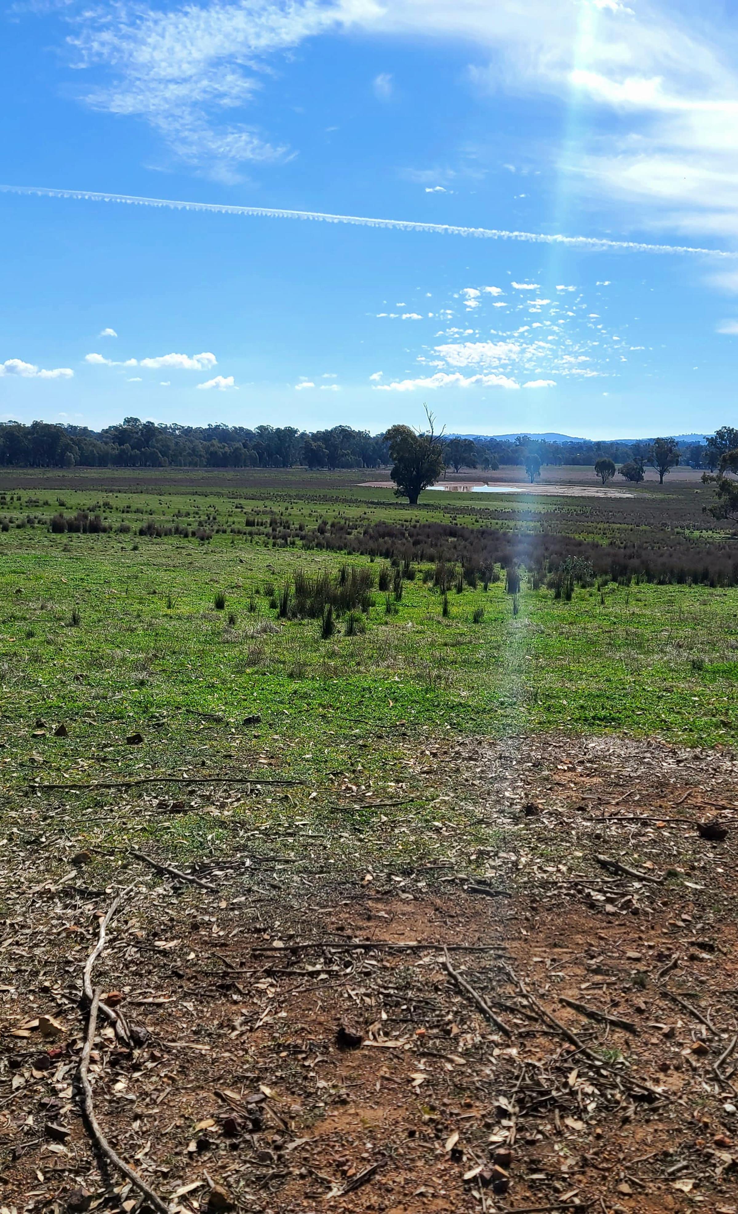 Degraded land at Earlston Victoria