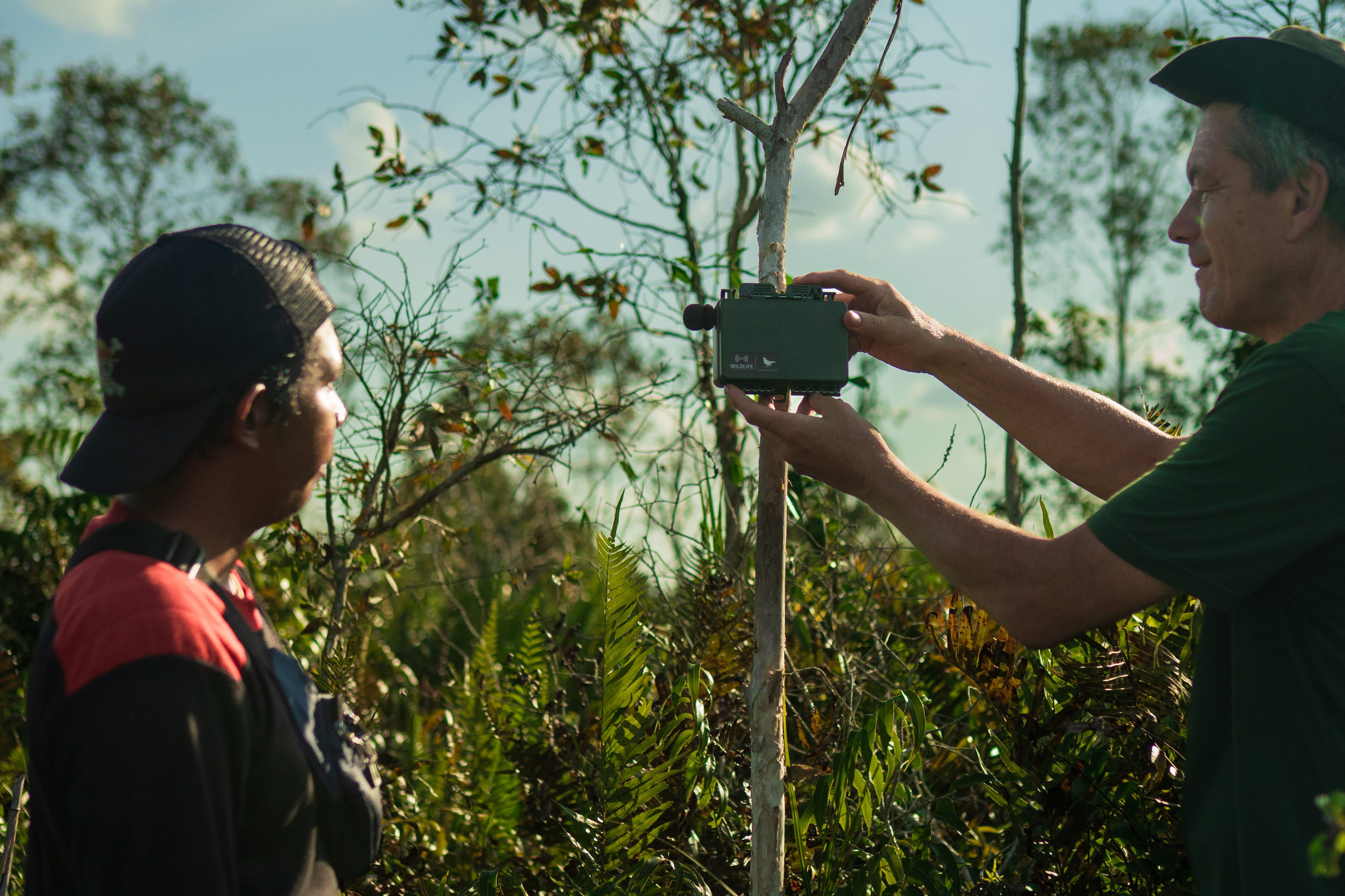 Measuring SROI in nature