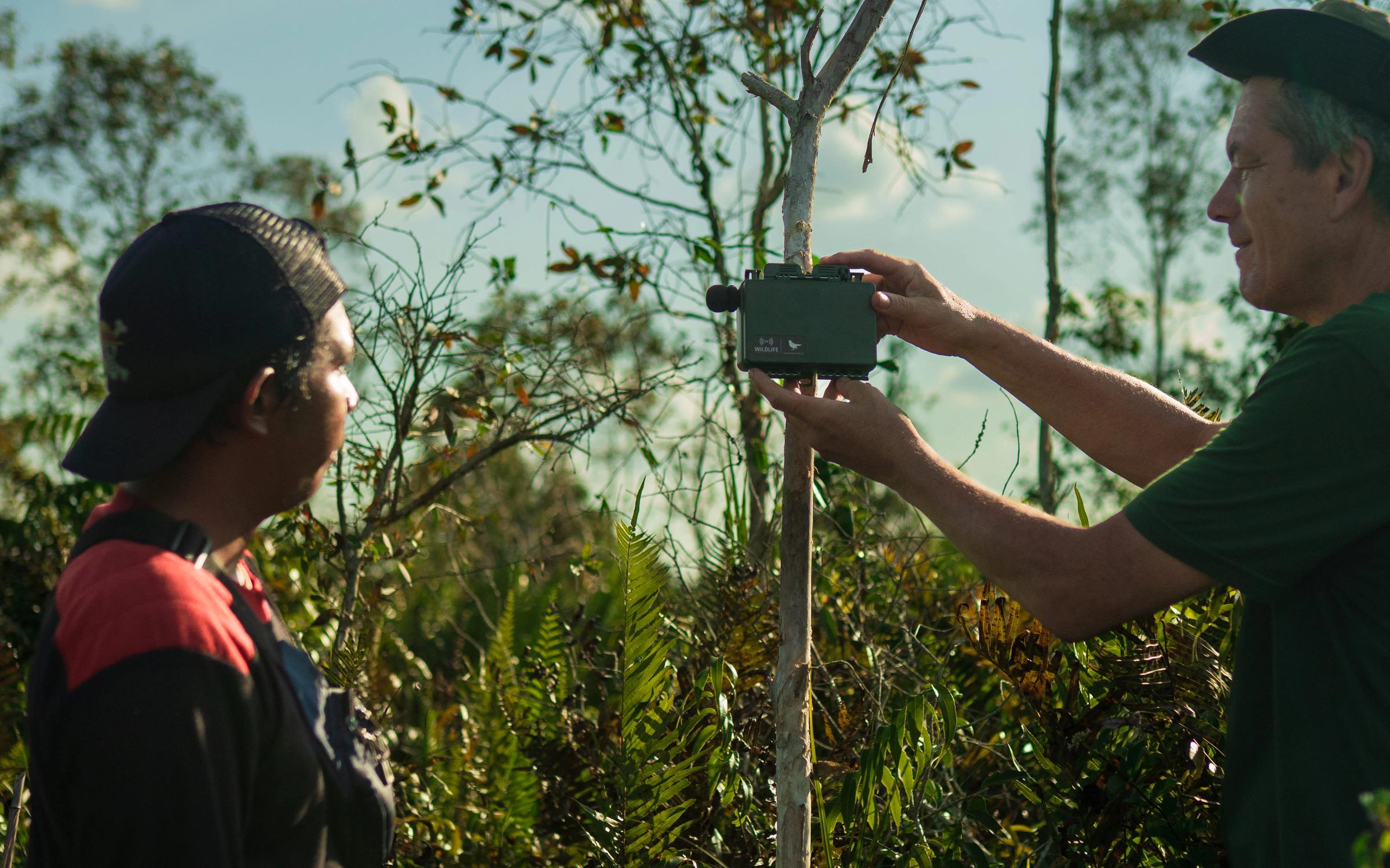 Measuring SROI in nature