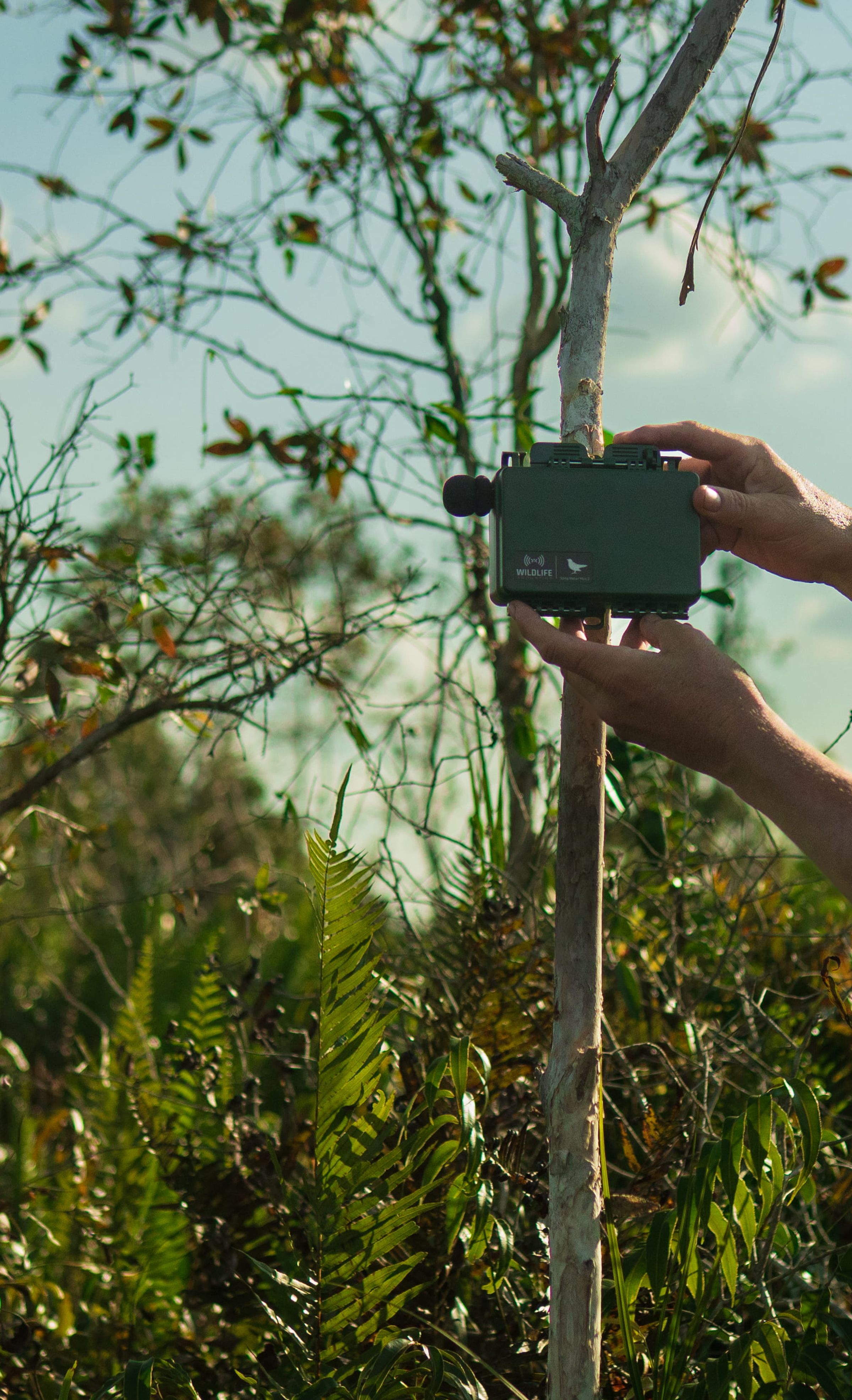 Measuring SROI in nature
