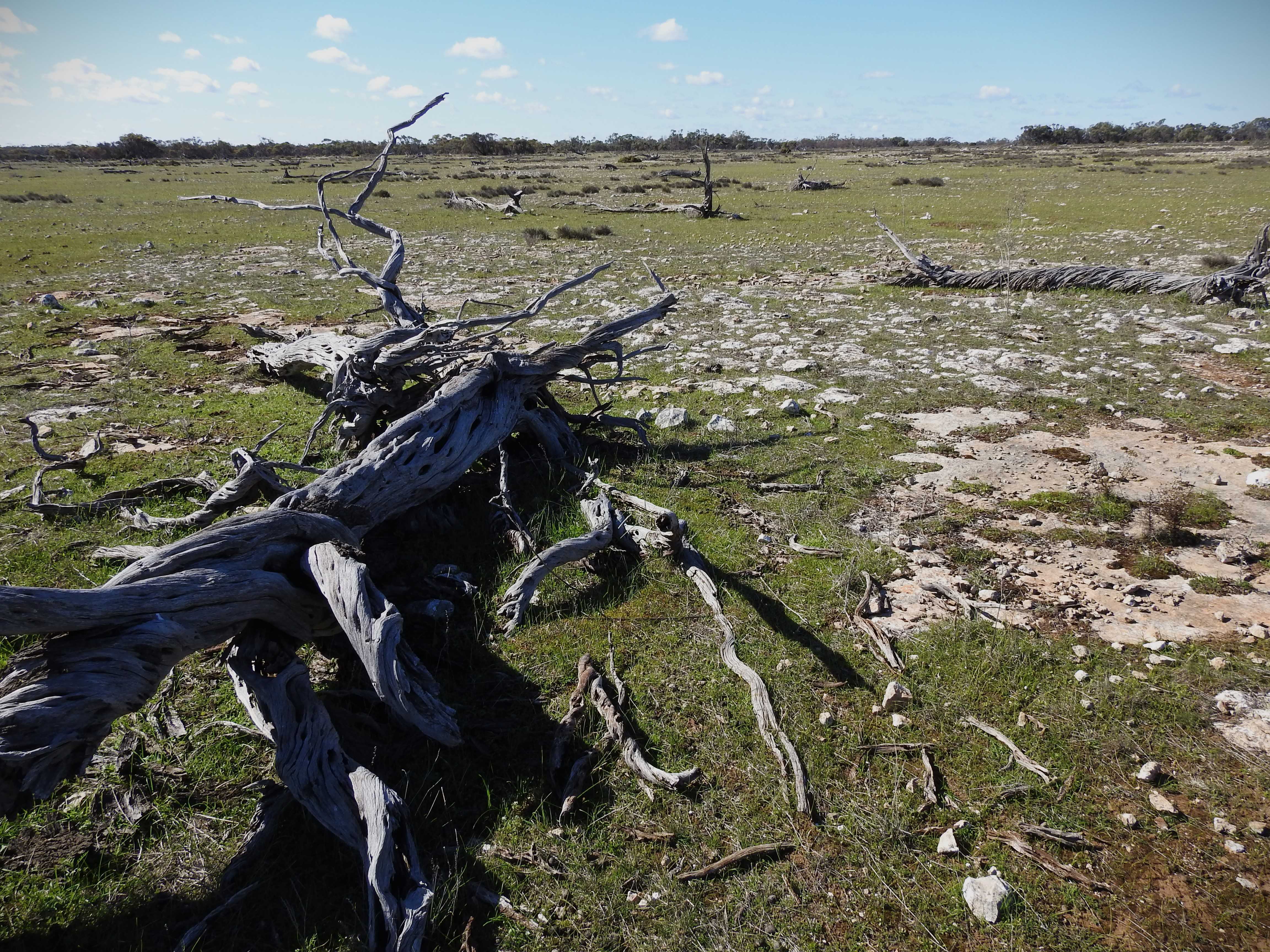 Degraded land in Victoria at scale